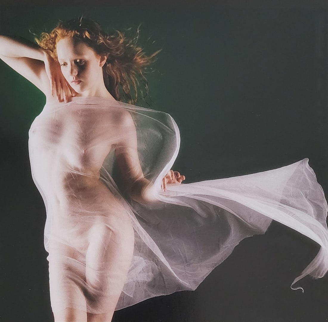Lighting the Nude, 2010: Artist/Photographer: Various Photographers Title/Subject: Lighting the Nude Type Of Print: Authentic Sheet Fed Photogravure/Heliogravure. Date Of Print: 2010 Paper: Medium weight, satin/matte finish. 