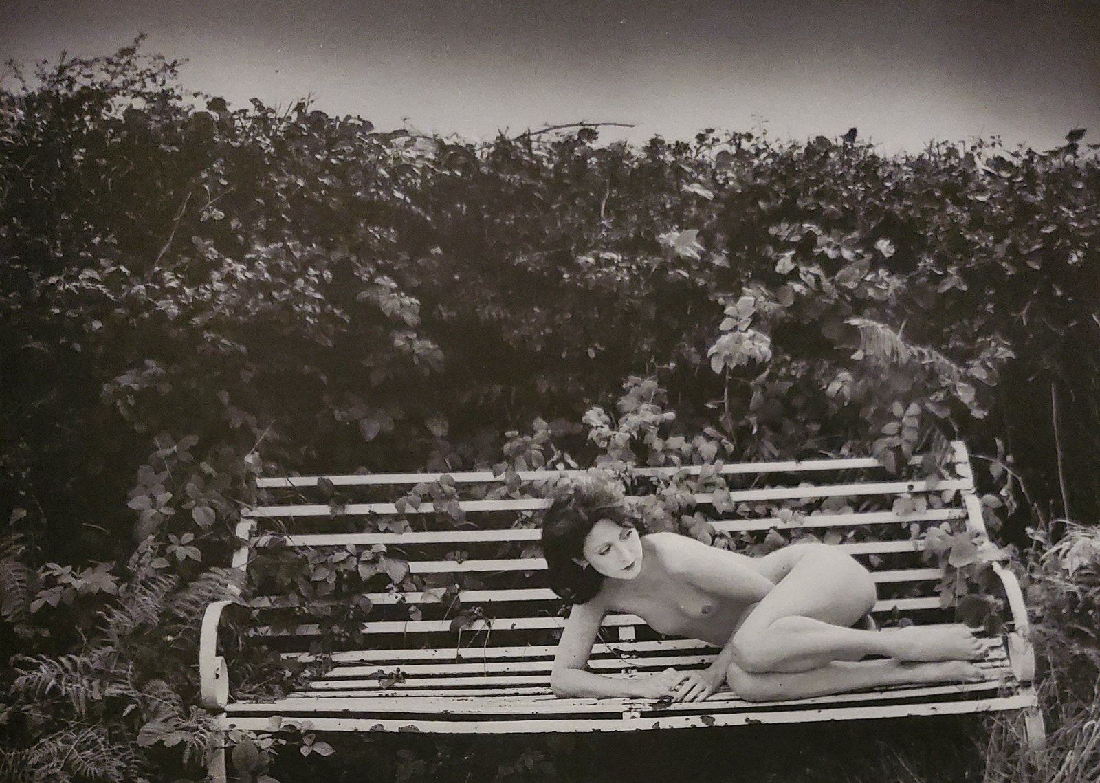 John Swannell, Afternoon Rest, 1980's (1 of 1)