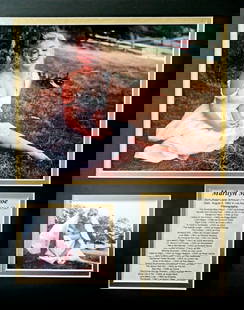 Marilyn Monroe, 'In White Dress', Matted Photo Collage: Description Subject:Marilyn Monroe Type: Photo Reproduction Prints Matte Size: 14" x 11" Country of Origin: USA Condition: Excellent