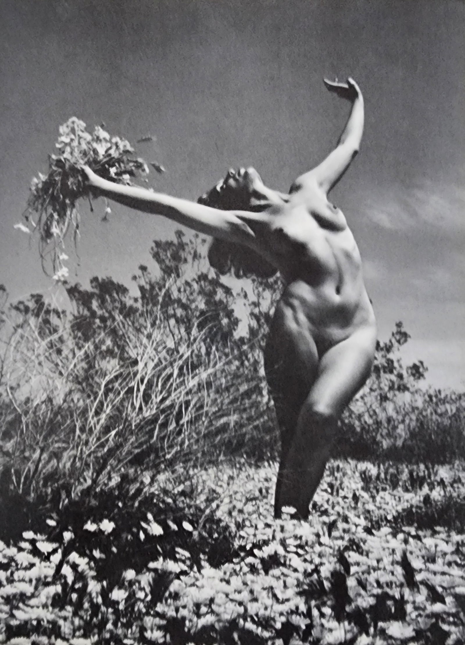 Andre de Dienes, Sun-Warmed Nude 1965: Artist/Photographer: Andre de Dienes Title/Subject: Sun-Warmed Nude Type Of Print: Authentic Sheet Fed Photogravure/Heliogravure. Date Of Print: 1965 Paper: Medium weight, satin/matte finish. Print Or