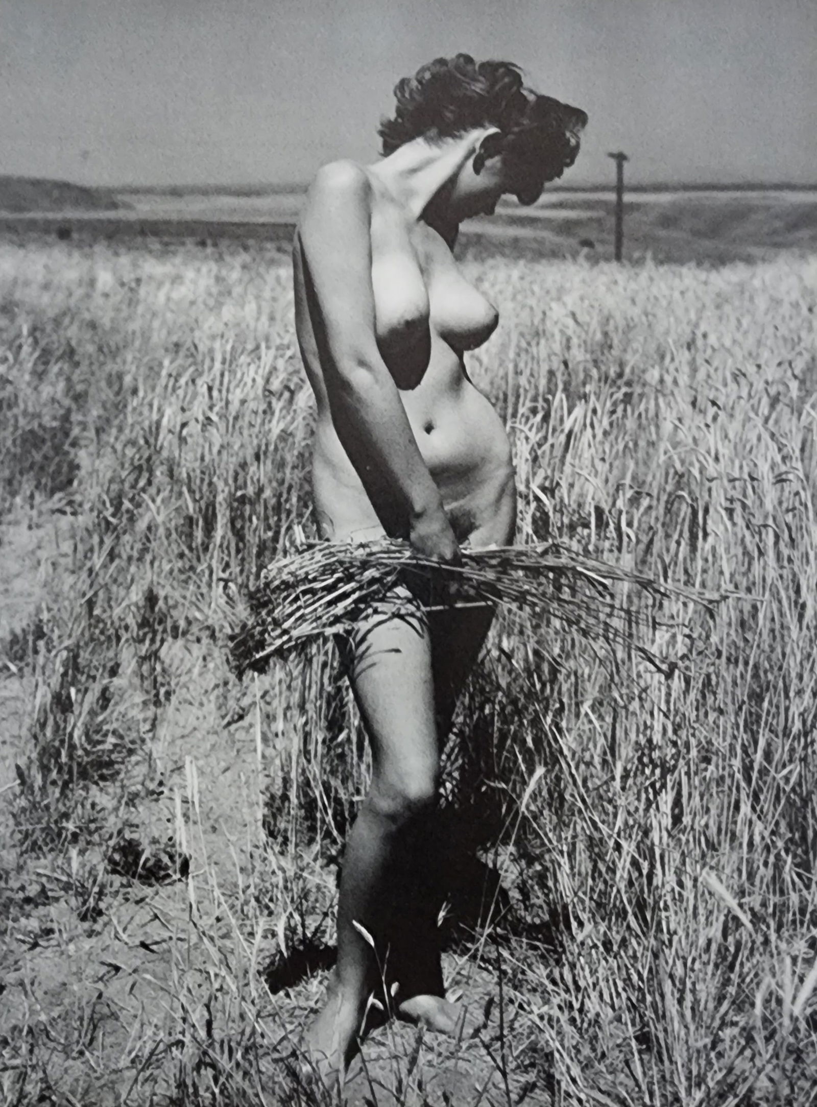 Andre de Dienes, Sun-Warmed Nude 1965: Artist/Photographer: Andre de Dienes Title/Subject: Sun-Warmed Nude Type Of Print: Authentic Sheet Fed Photogravure/Heliogravure. Date Of Print: 1965 Paper: Medium weight, satin/matte finish. Print Or