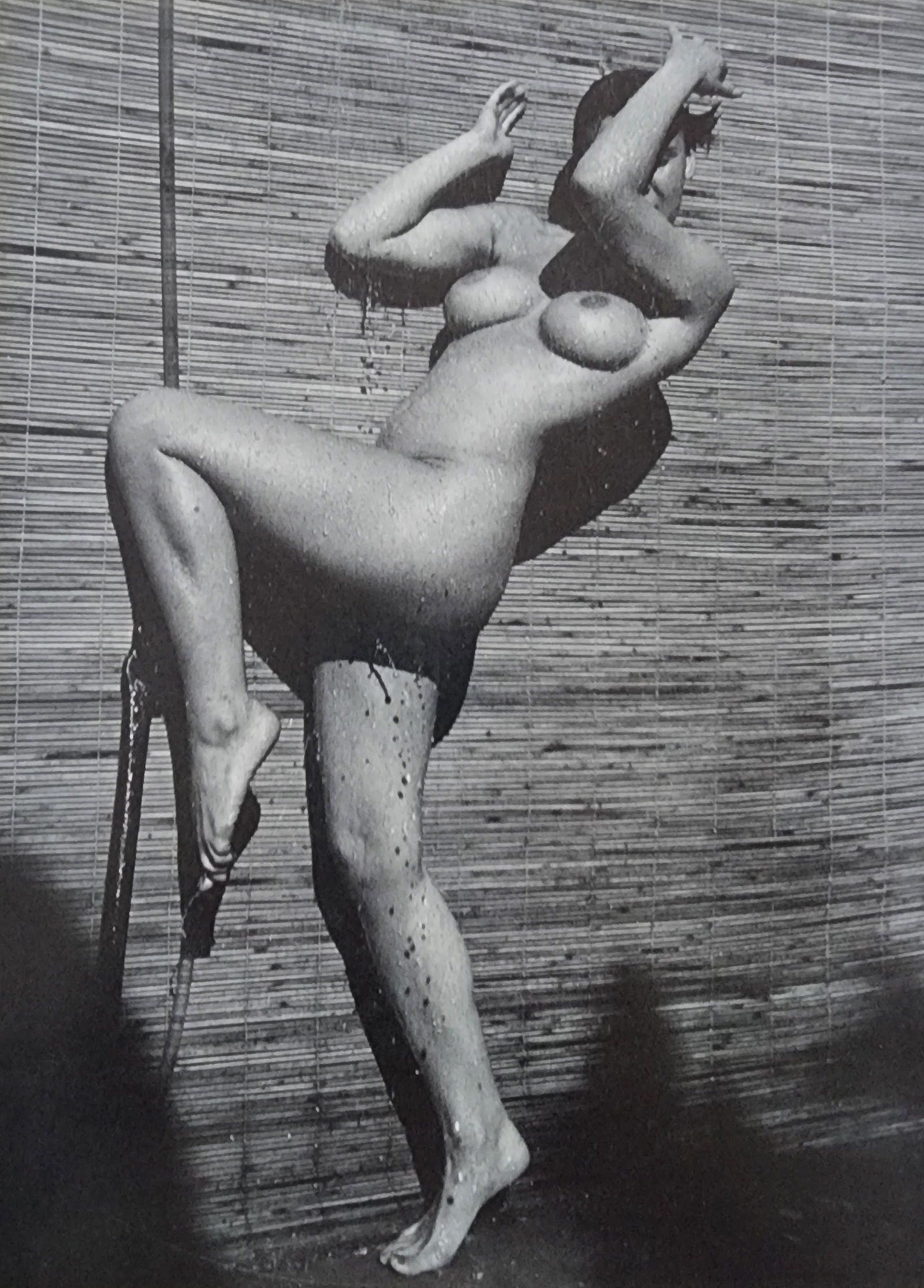 Andre de Dienes, Sun-Warmed Nude 1965: Artist/Photographer: Andre de Dienes Title/Subject: Sun-Warmed Nude Type Of Print: Authentic Sheet Fed Photogravure/Heliogravure. Date Of Print: 1965 Paper: Medium weight, satin/matte finish. Print Or