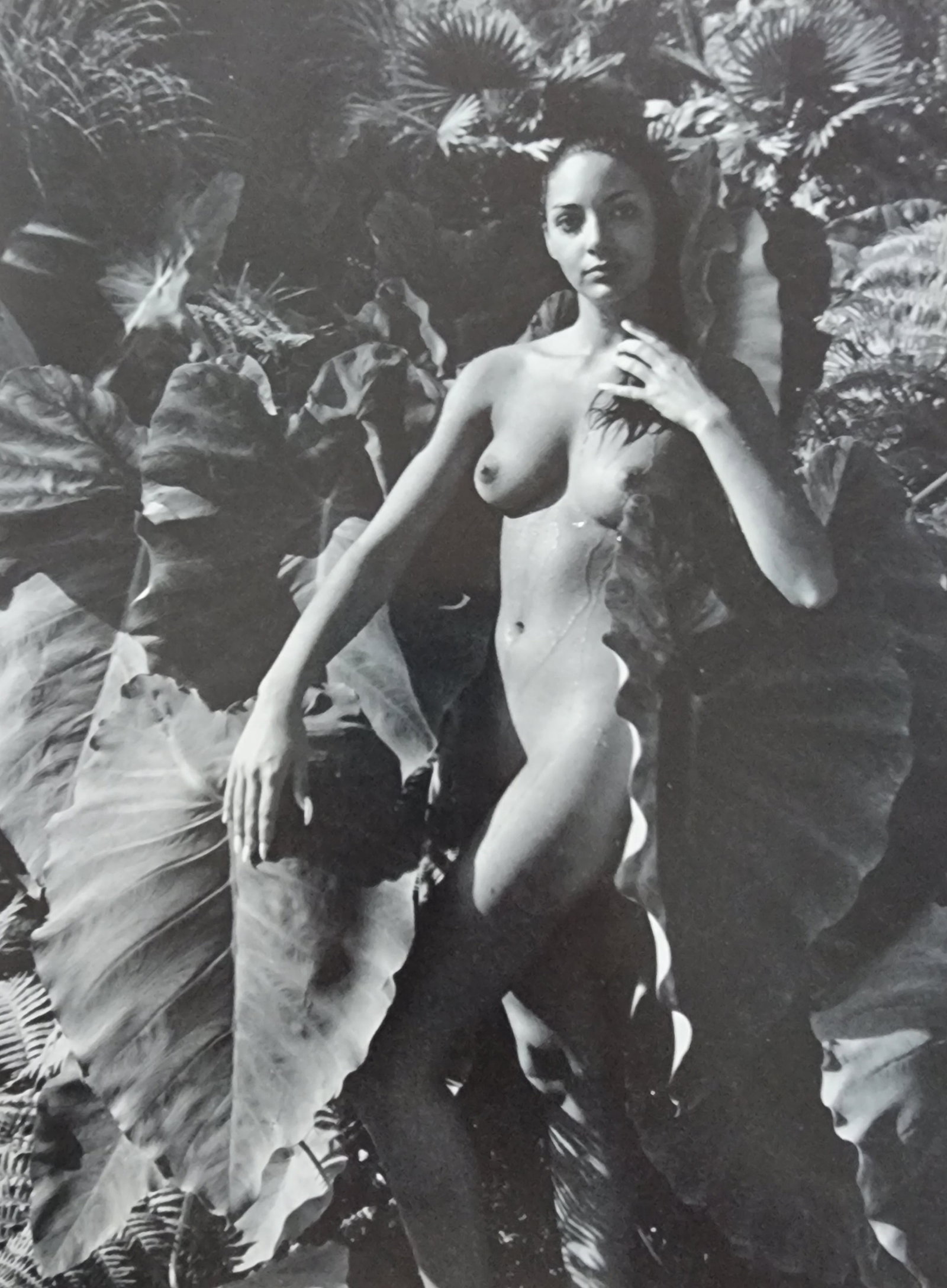 Andre de Dienes, Sun-Warmed Nude 1965: Artist/Photographer: Andre de Dienes Title/Subject: Sun-Warmed Nude Type Of Print: Authentic Sheet Fed Photogravure/Heliogravure. Date Of Print: 1965 Paper: Medium weight, satin/matte finish. Print Or
