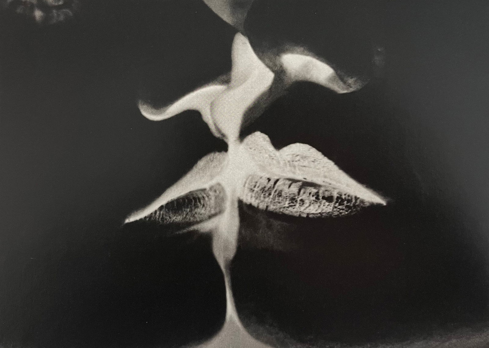 Man Ray, La Baiser (Negative Print), 1935: Photographer: Man Ray (American born, 1890 - 1976) - Considered one of the most influential artists of the 20th century Man Ray lived most of his life in Paris, France. Best described as a modernist,