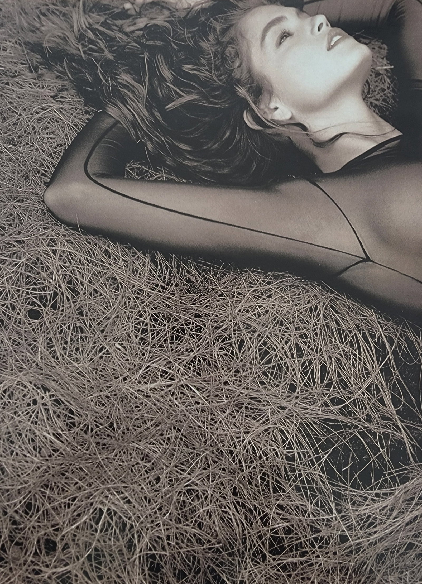 Playboy's Supermodels 1995: Model's: Cindy Crawford, Stphnie Symore, Anna Nicole Smith, Drew Berrymore, Elisabeth Nottoli, The Barbai Twins, Jenny MaCarthy.... Title/Subject: Playboy's Supermodels Type Of Print: Authentic Sheet 