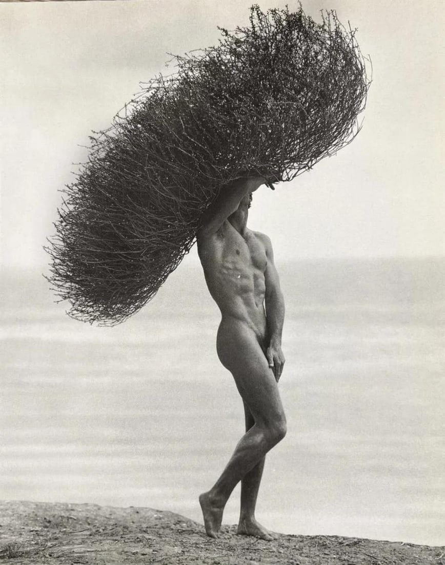 Herb Ritts, Male Nude with Tumblweed, Paradise Cove, 1986: Photographer: Herbert "Herb" Ritts (American, 1952 - 2002) - renowned fashion, art and celebrity photographer. Subject: "Male Nude with Tumblweed, Paradise Cove, 1986" Type Of Print: Fine Duotone Phot