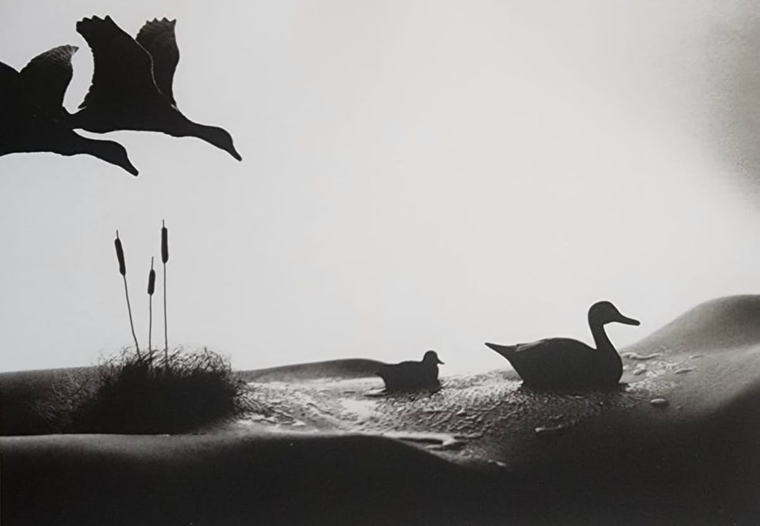 Allan Teger 'Bodyscapes' 2012 (1 of 1)