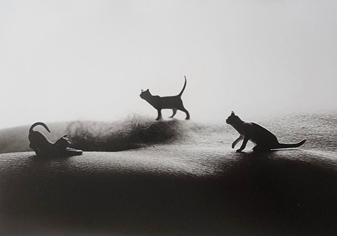 Allan Teger 'Bodyscapes' 2012 (1 of 1)