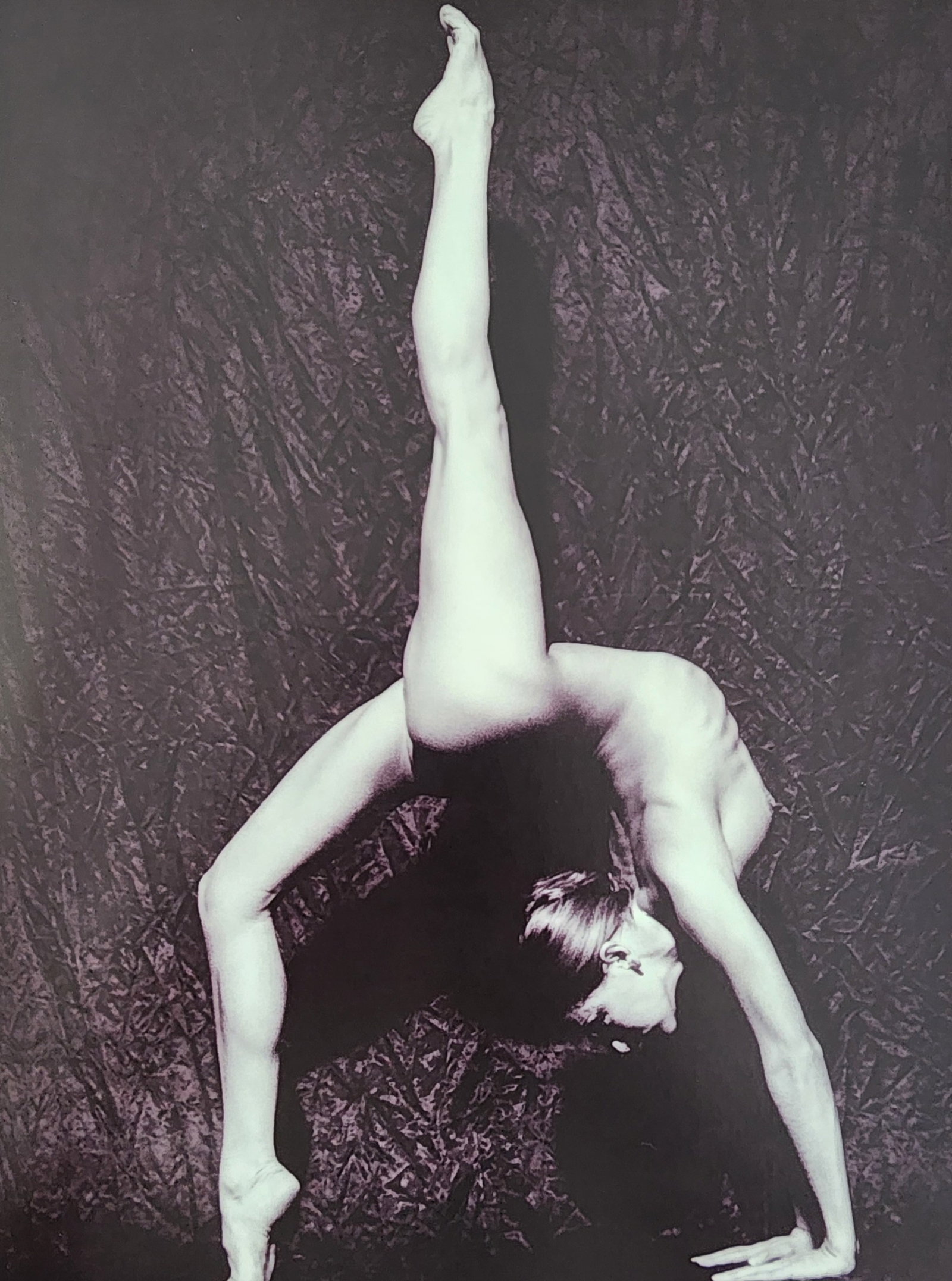 Celebrity Boudoir, 2005: Models: Tina Arena, Annalise Braakensiek, Holly Brisley, Portia De Rossi, Megan Gale, Melissa George, Tara Moss, Naomi Watts... Title/Subject: Celebrity Boudoir Type Of Print: Authentic Sheet Fed Phot