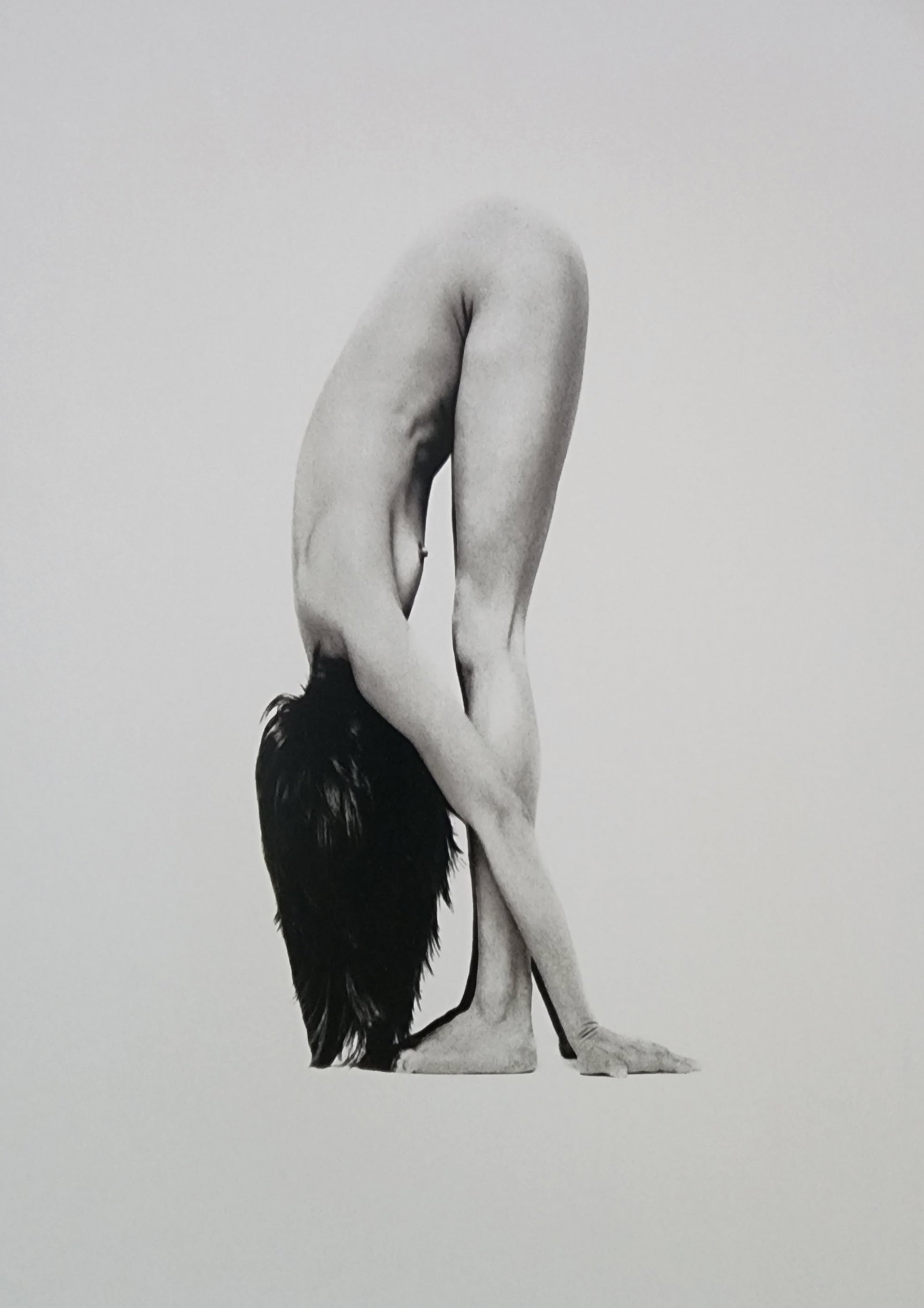 Best Female Nude Photography, 1850 - 2001: Artist/Photographer: Various photogrpher, include: Araki, Exe Arnold, Peter Beard, Bill Brandt, Brassai, Lucien Clergue, Horst P. Horst..... Title/Subject: Best female nudes photography 1850 to 2001 T