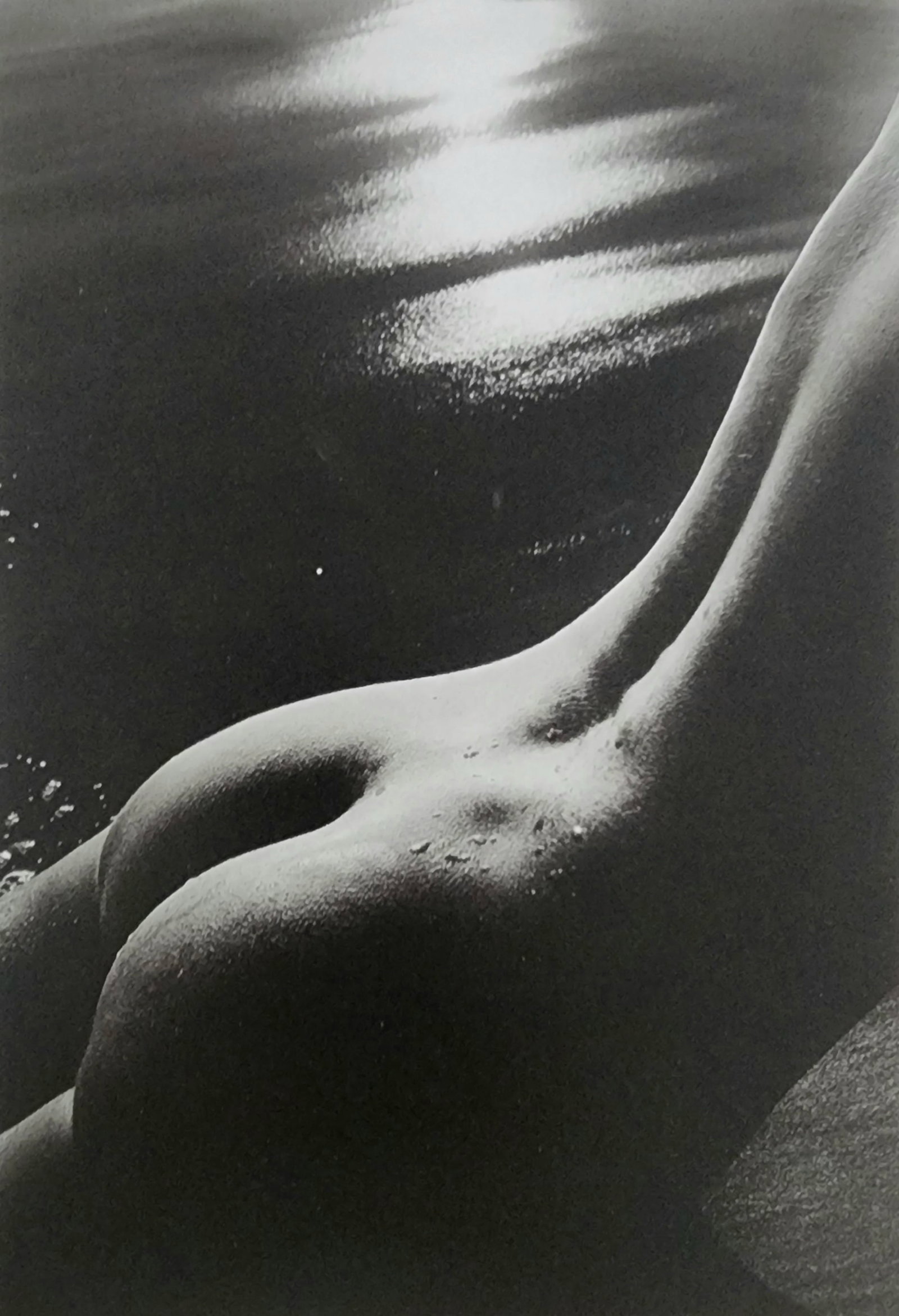Best Female Nude Photography, 1850 - 2001: Artist/Photographer: Various photogrpher, include: Araki, Exe Arnold, Peter Beard, Bill Brandt, Brassai, Lucien Clergue, Horst P. Horst..... Title/Subject: Best female nudes photography 1850 to 2001 T