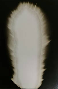 Hiroshi Sugimoto, In Praise of shadows, 980811: Artist Name: Hiroshi Sugimoto Size: 8.5 X 6 Type:First Edition. Print Year:1999 Printer: Korinsha Press Domesticating fire marks humankind's ascendancy over other species. For tens of thousands of yea