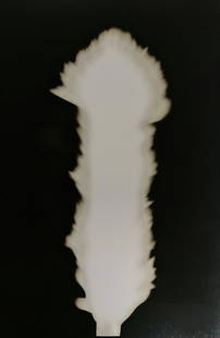 Hiroshi Sugimoto, In Praise of shadows, 980812: Artist Name: Hiroshi Sugimoto Size: 8.5 X 6 Type:First Edition. Print Year:1999 Printer: Korinsha Press Domesticating fire marks humankind's ascendancy over other species. For tens of thousands of yea