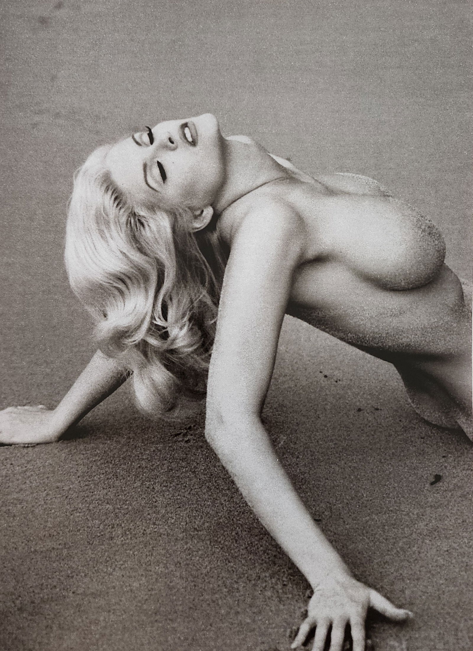 Celebrity Boudoir, 1997: Models: Cindy Crawford, Sandra Taylor, Nancy Sintra, Traci Adell, Tracy Hampton, The Barbi Twins, Pamela Anderson, Jenny McCarthy, Anna Nicole Smith, Donna D'Errico, Kim PageBrenda VenusShannon Tweed.