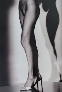 Alina Reyes, Nude Female Models, 2005: Artist/Photographer: Alina Reyes Title/Subject: Nudes Female Model Type Of Print: Authentic Sheet Fed Photogravure/Heliogravure. Date Of Print: 2005 Paper: Medium weight, satin/matte finish. Print Ori