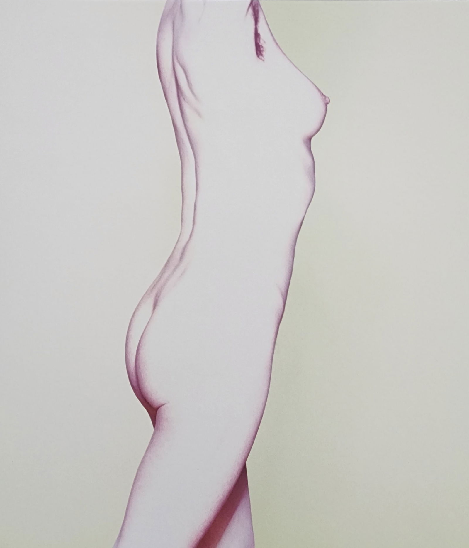 Best Female Nude Photography, 1850 - 2001: Artist/Photographer: Various photogrpher, include: Araki, Exe Arnold, Peter Beard, Bill Brandt, Brassai, Lucien Clergue, Horst P. Horst..... Title/Subject: Best female nudes photography 1850 to 2001 T