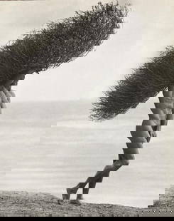 Herb Ritts, Male Nude with Tumblweed, Paradise Cove, 1986: Photographer: Herbert "Herb" Ritts (American, 1952 - 2002) - renowned fashion, art and celebrity photographer. Subject: "Male Nude with Tumblweed, Paradise Cove, 1986" Type Of Print: Fine Duotone Phot