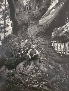 Ansel Adams, Edward Weston, Carmel Highlands, California, 1945: Photographer: Ansel Adams (American, 1902 - 1984) - Internationally renowned American photographer. One of the most influential artists in photographic history. Title: "Edward Weston, Carmel Highlands