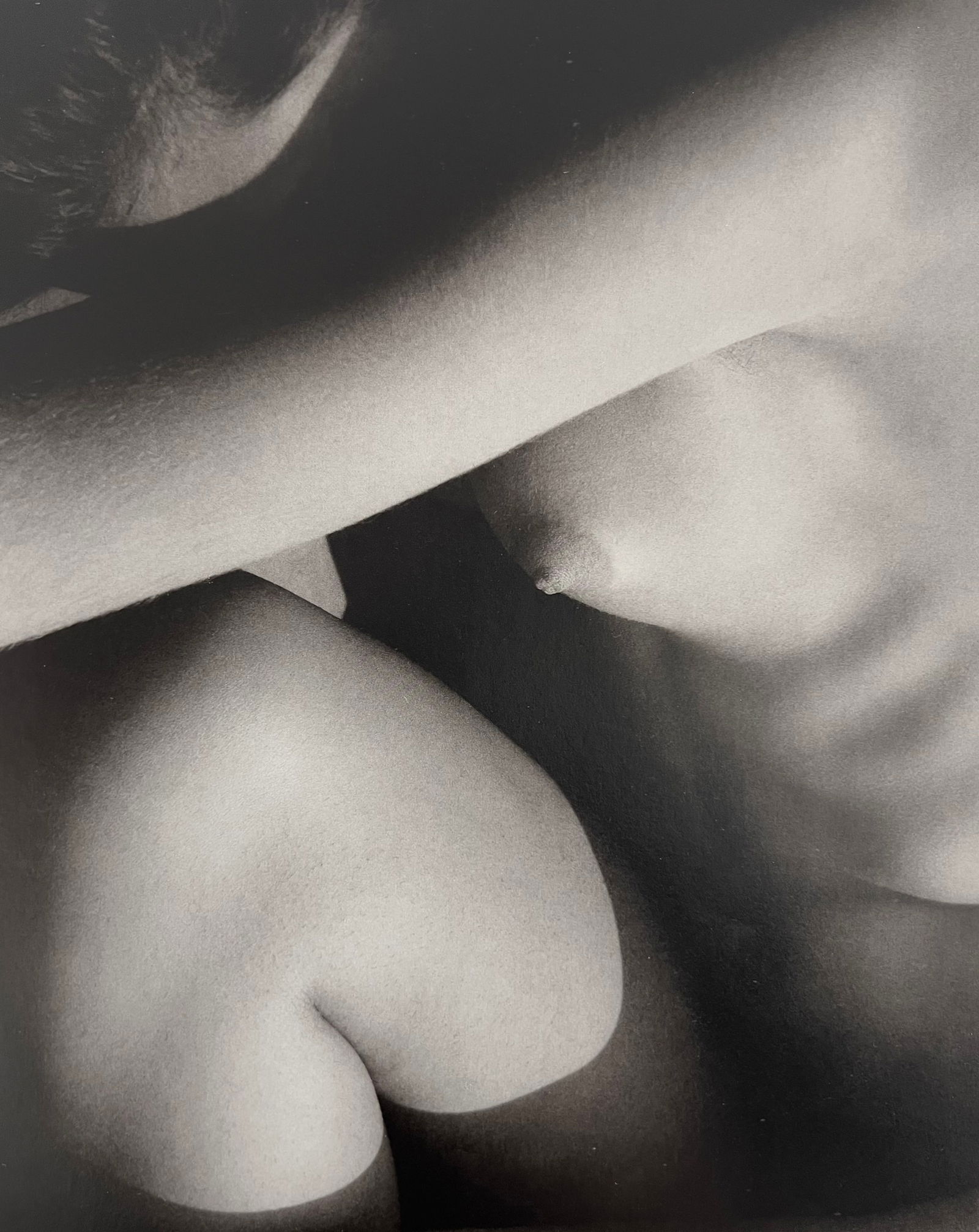 Ruth Bernhard, Triangles, 1946: Ruth Bernhard (1905-2006) was the daughter of Lucien Bernhard, a graphic designer known as "the father of the German poster." After studying for two years at the Berlin Academy of Art, she came to New