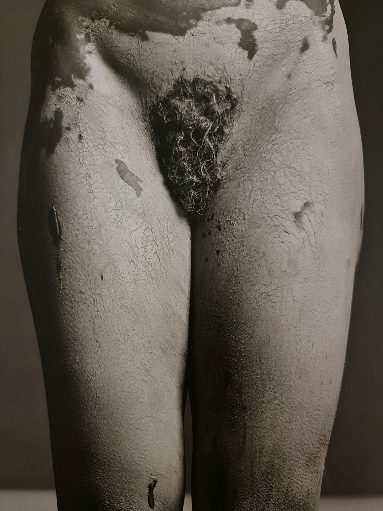 Robert Mapplethorpe, Lisa Lyon, 1982 (1 of 1)