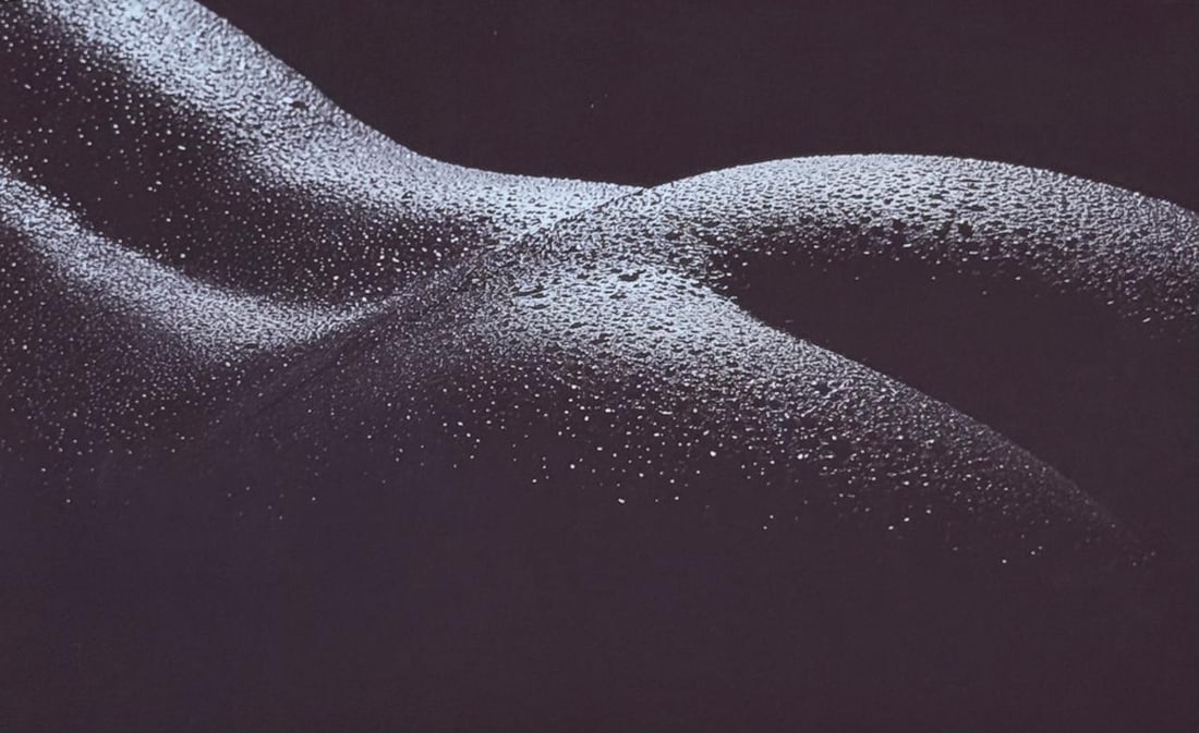 Best Nude Photography 2007: Artist/Photographer: Various best photogrpher of 2007 Title/Subject: Best Nude Photography Type Of Print: Authentic Sheet Fed Photogravure/Heliogravure. Date Of Print: 2007 Paper: Medium weight, satin