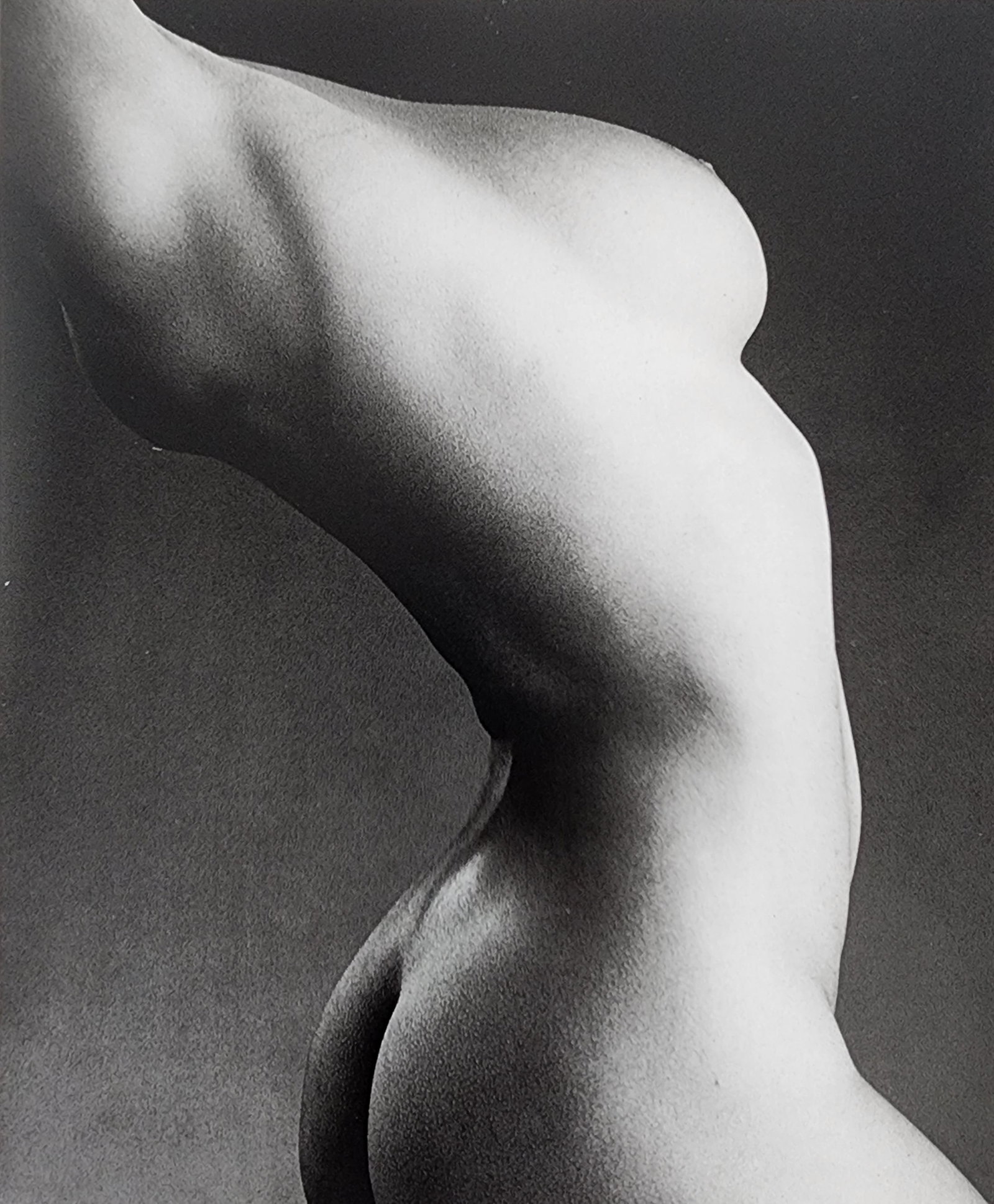 Elegant Nudes and Models, 1995: Artist/Photographer: Various Photographers Title/Subject: Elegant Nudes and Models, 1995 Type Of Print: Authentic Sheet Fed Photogravure/Heliogravure. Date Of Print: 1995 Paper: Medium weight, satin/m