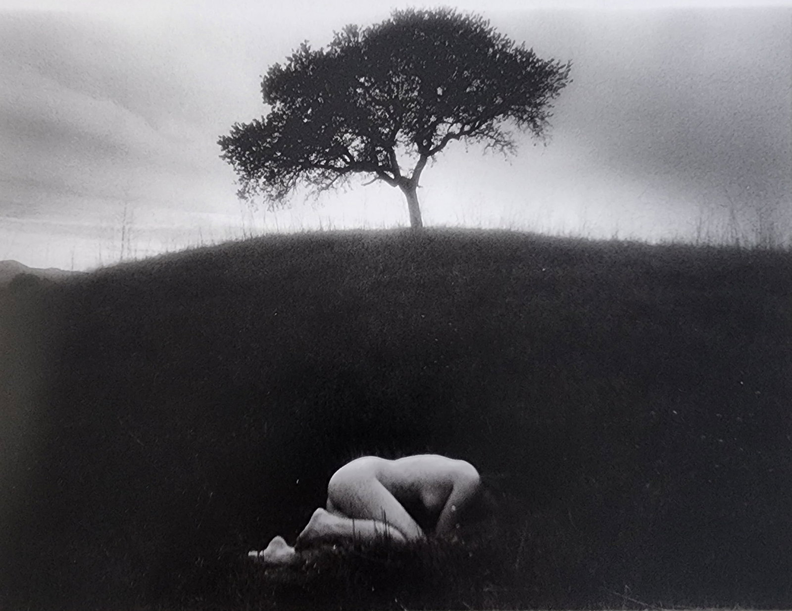 Elegant Nudes and Models, 1995: Artist/Photographer: Various Photographers Title/Subject: Elegant Nudes and Models, 1995 Type Of Print: Authentic Sheet Fed Photogravure/Heliogravure. Date Of Print: 1995 Paper: Medium weight, satin/m