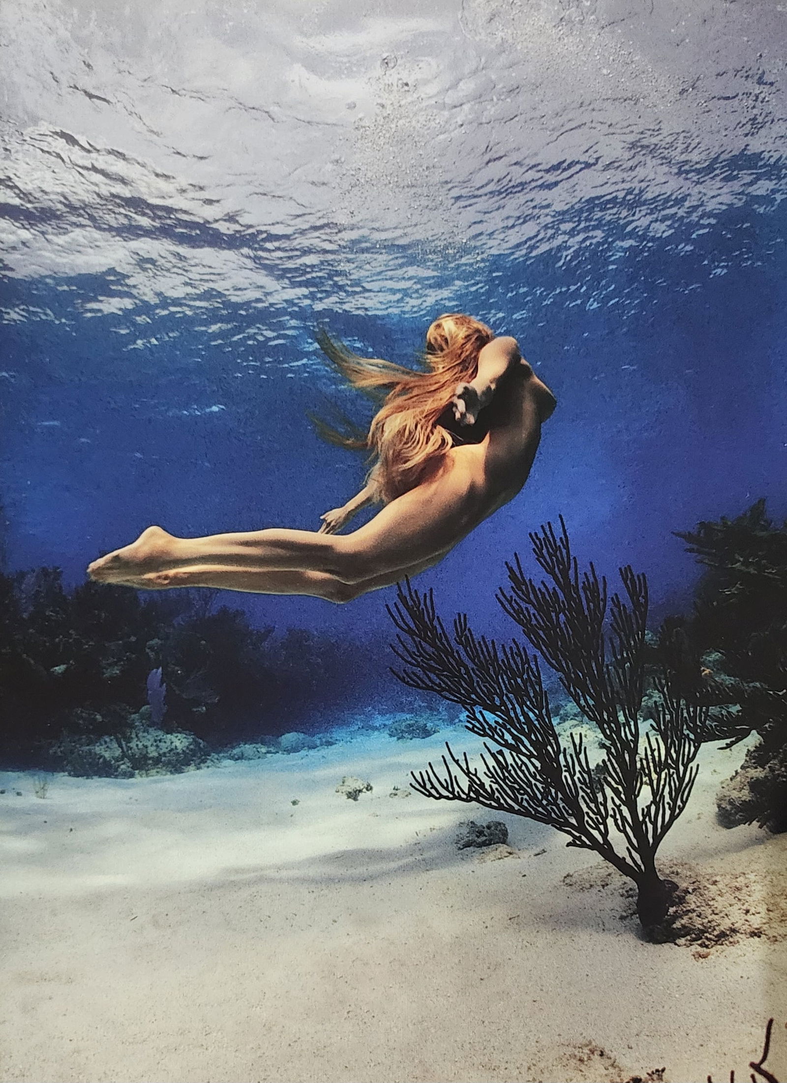 Russel James, Stunning, 2009 (1 of 1)