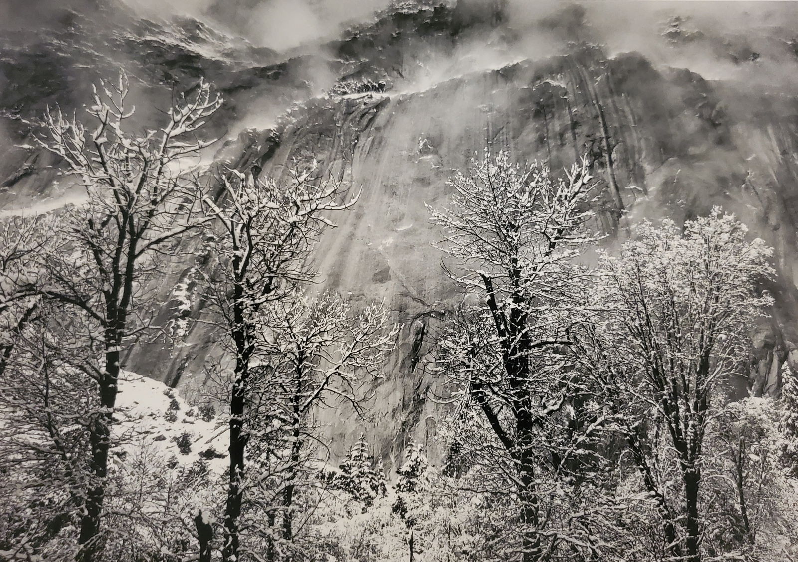 Ansel Adams, Trees and Cliffs of Eagle Park, Winter, Yosemite National Park, California, C. 1935 (1 of 1)