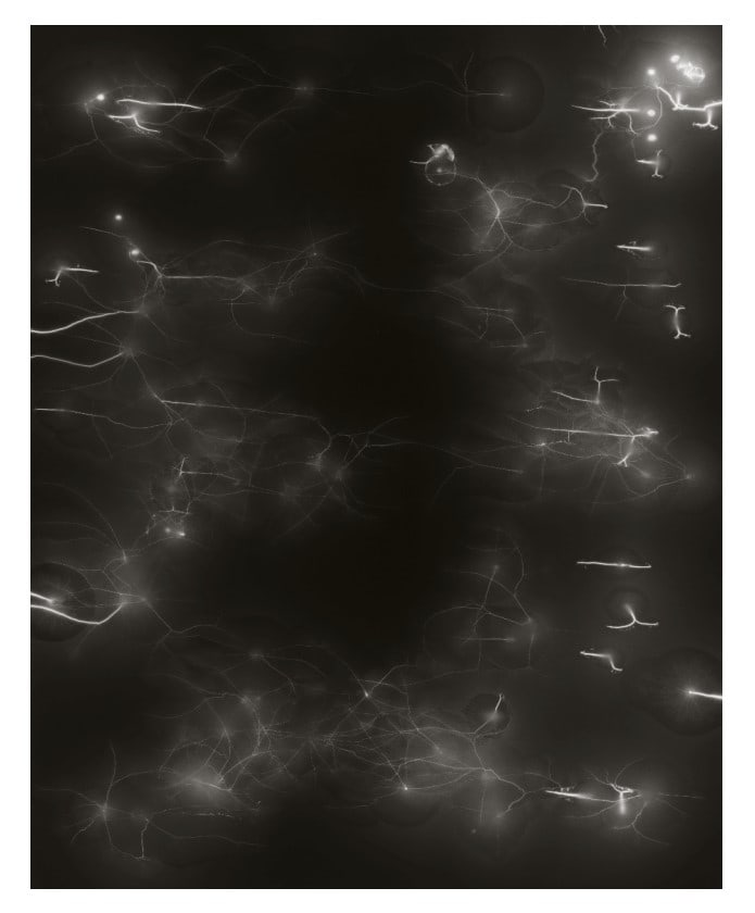 Hiroshi Sugimoto, Lightning Fields-006, 2006: Description Photographer: Hiroshi Sugimoto is a contemporary Japanese photographer whose esoteric practice explores memory and time. Using the intrinsic quality of long exposure photography, the artis