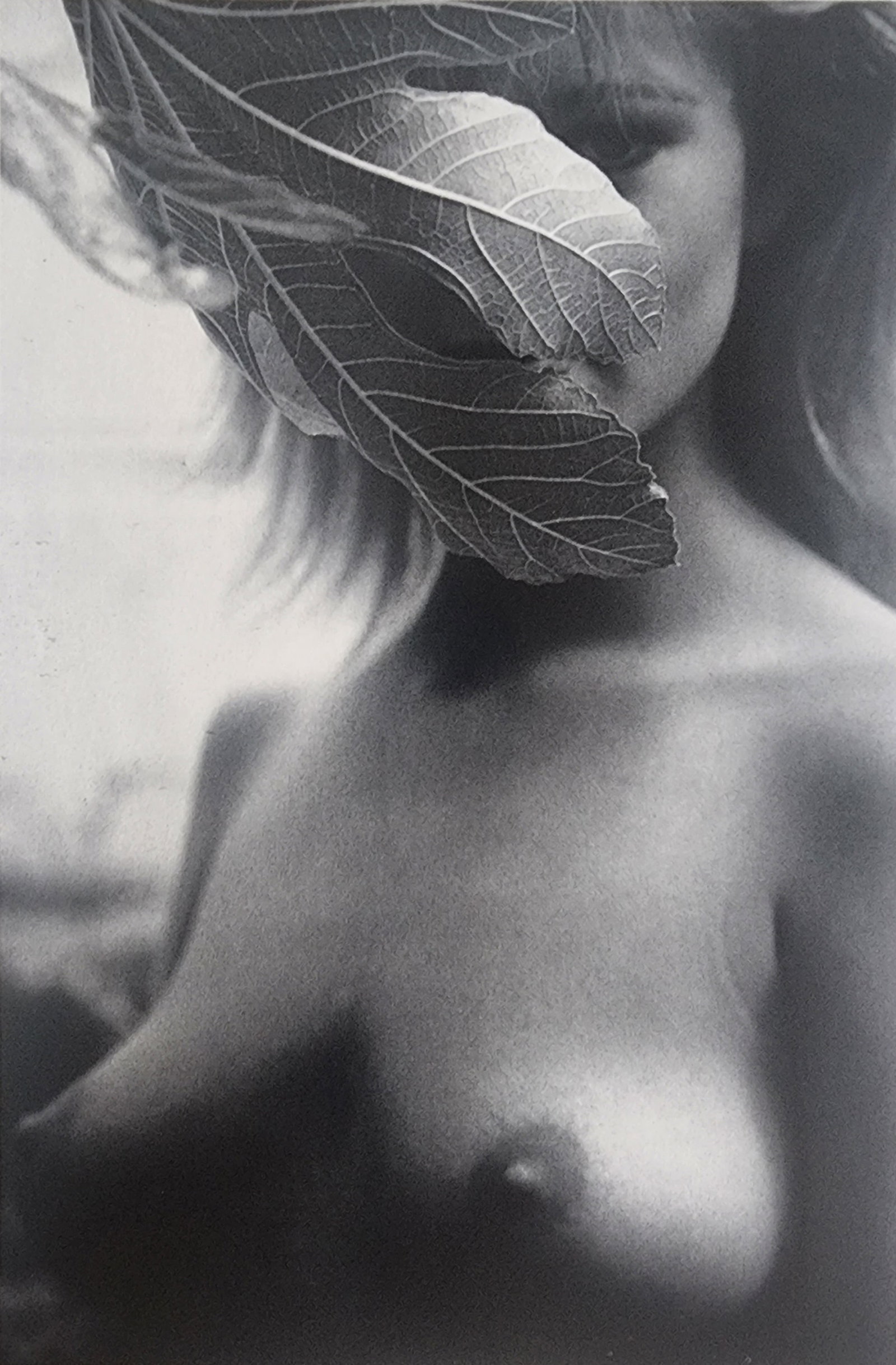 Blondes have more fun by Michelle Olley, 2002: Artist/Photographer: Michelle Olley Title/Subject: Blondes have more fun Type Of Print: Authentic Sheet Fed Photogravure/Heliogravure. Date Of Print: 2002 Paper: Medium weight, satin/matte finish. Pri