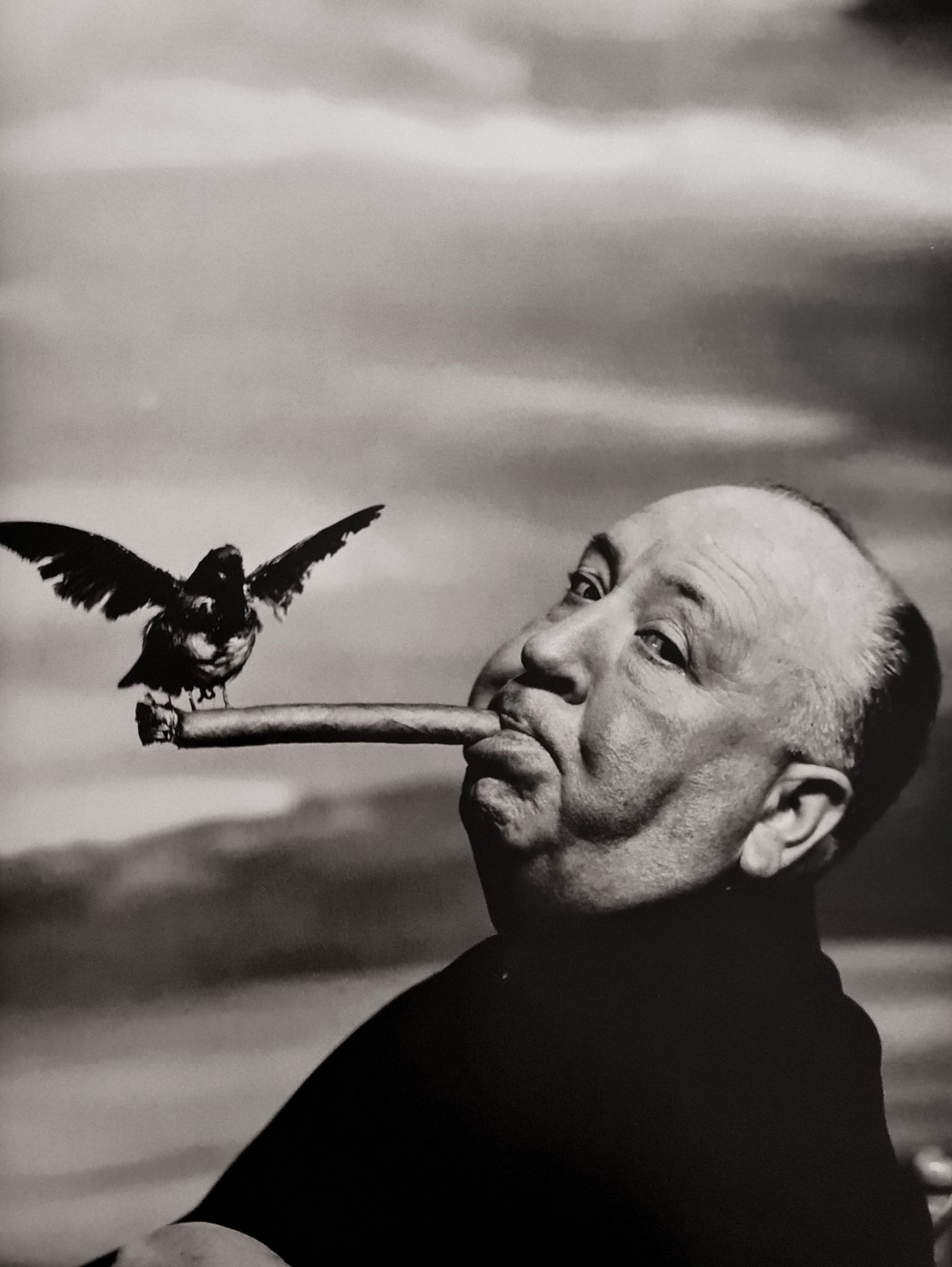 Phillipe Halsman, Alfred Hitchcock, 1963: Photographer: Philippe Halsman (Latvia born American, 1906 - 1979) - internationally renowned portrait and fashion photographer, one of the most important and influential photographers from the 1940's
