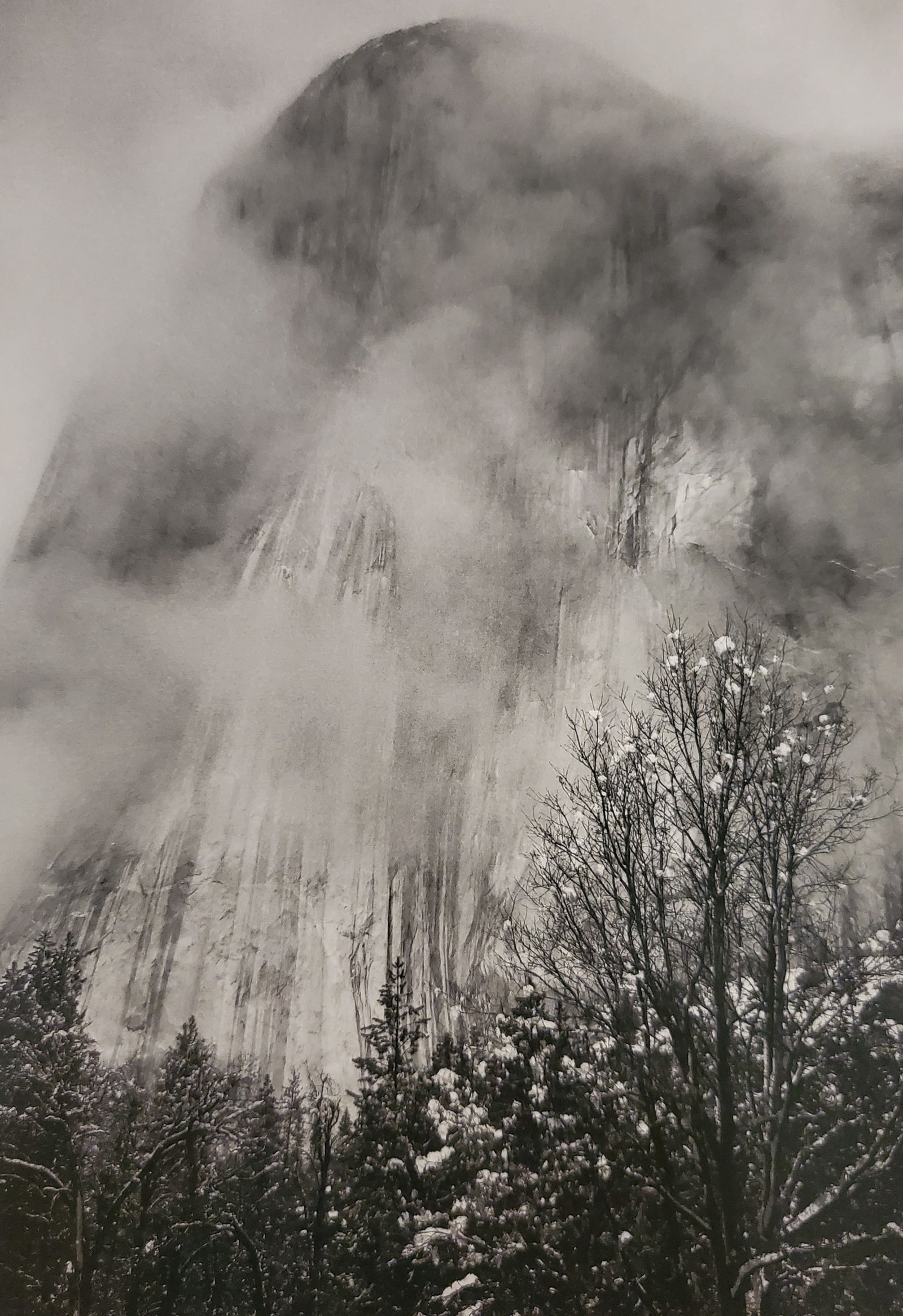 Ansel Adams, El Capitan, Cliffs and Tree, Winter, Yosemite National Park, California, C. 1940 (1 of 1)