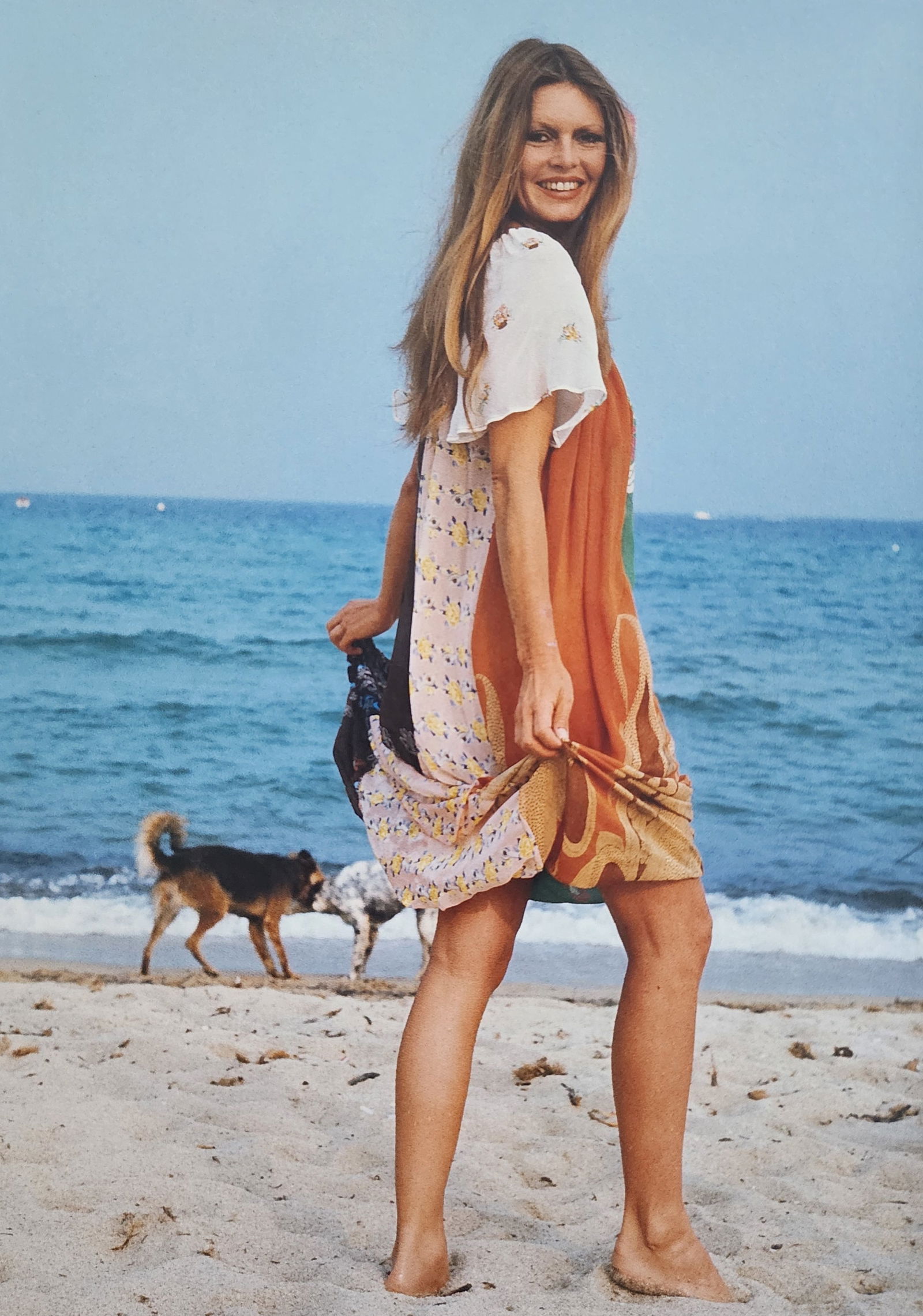 Brigitte Bardot 'My Life in Fashion' 2019: Artist/Photographer: Brigitte Bardot: Brigitte Anne-Marie Bardot, born September 28, 1934, is a former French actress, model, singer, and animal rights activist. A major sex symbol of the 1950s and 19