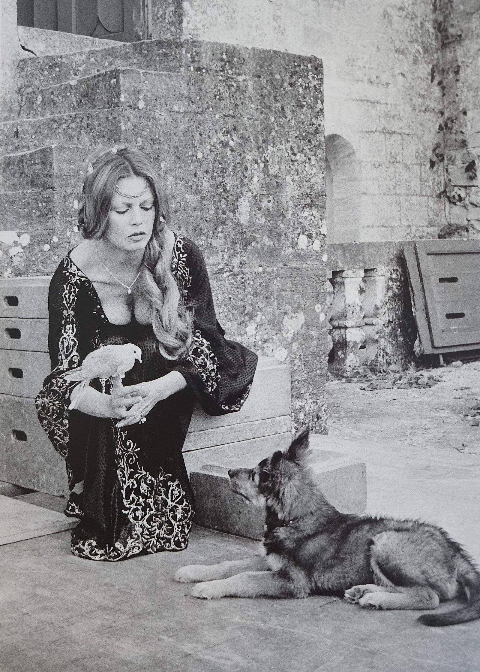 Brigitte Bardot 'My Life in Fashion' 2019: Artist/Photographer: Brigitte Bardot: Brigitte Anne-Marie Bardot, born September 28, 1934, is a former French actress, model, singer, and animal rights activist. A major sex symbol of the 1950s and 19