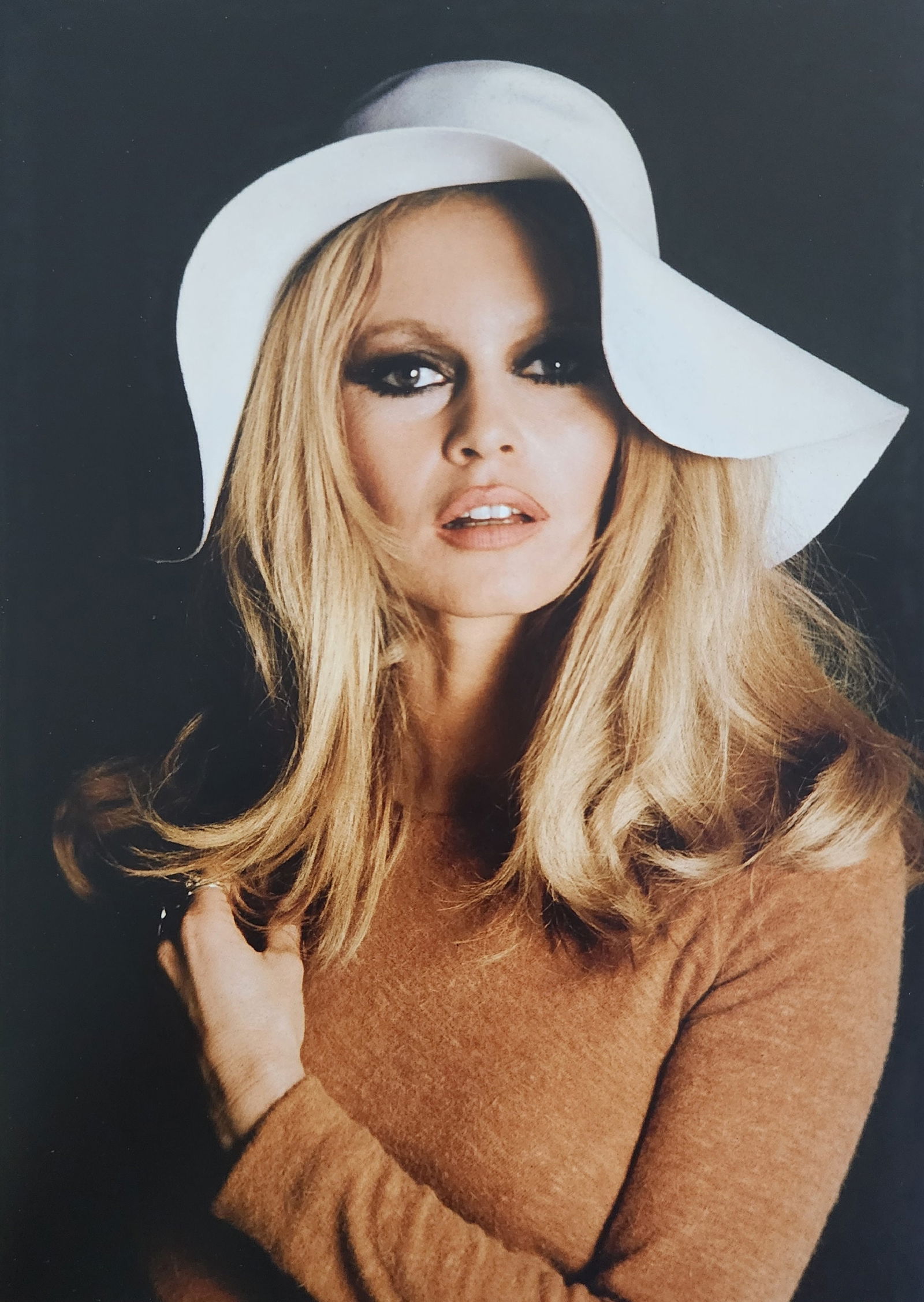 Brigitte Bardot 'My Life in Fashion' 2019: Artist/Photographer: Brigitte Bardot: Brigitte Anne-Marie Bardot, born September 28, 1934, is a former French actress, model, singer, and animal rights activist. A major sex symbol of the 1950s and 19