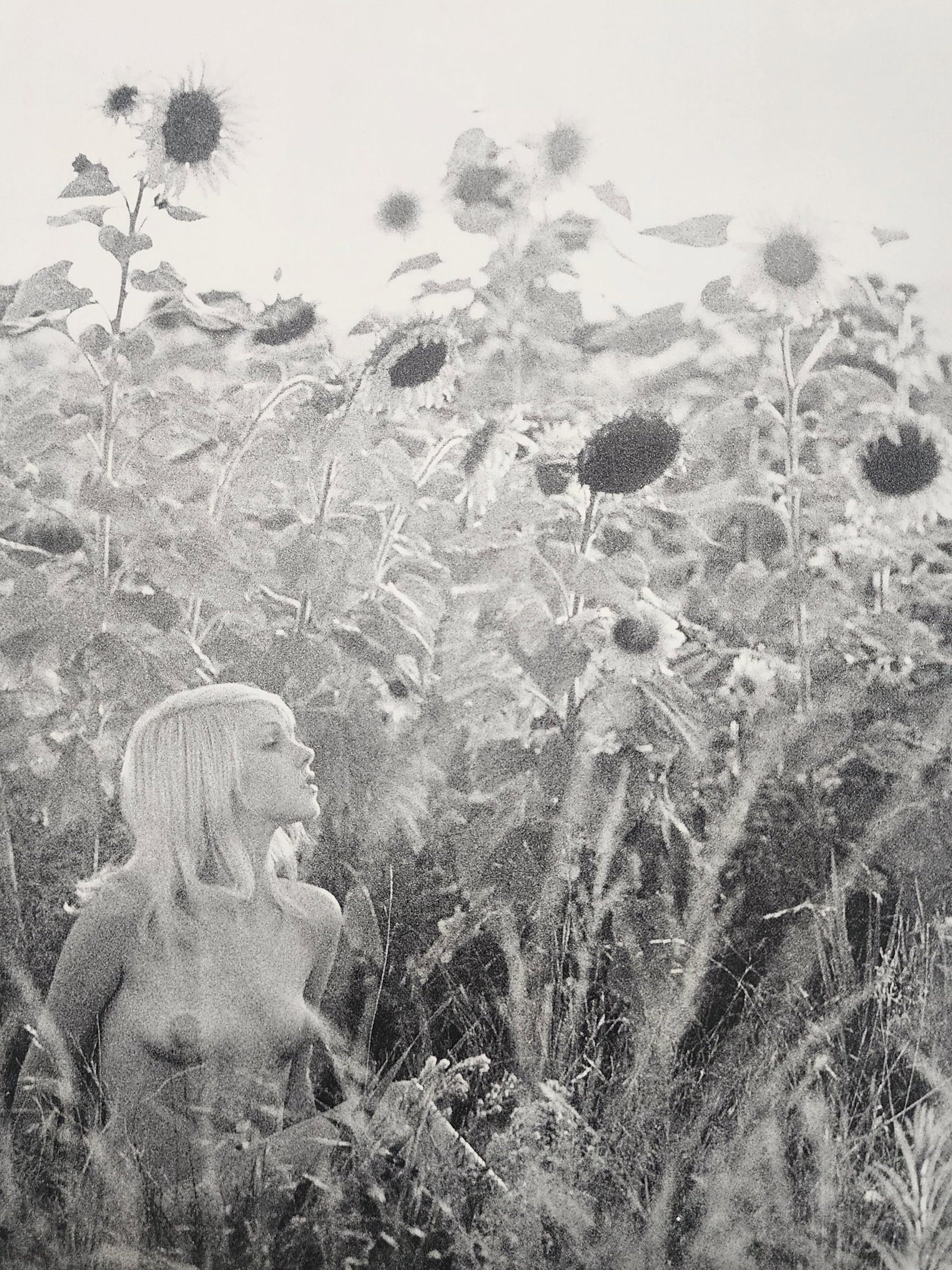 Karl De Haan 'Sue' First Edition, 1969: Artist/Photographer: Karl De Haan Title/Subject: Sue Type Of Print: Authentic Sheet Fed Photogravure/Heliogravure. Date Of Print: 1969, First edition Paper: Medium weight, satin/matte finish. Print Or