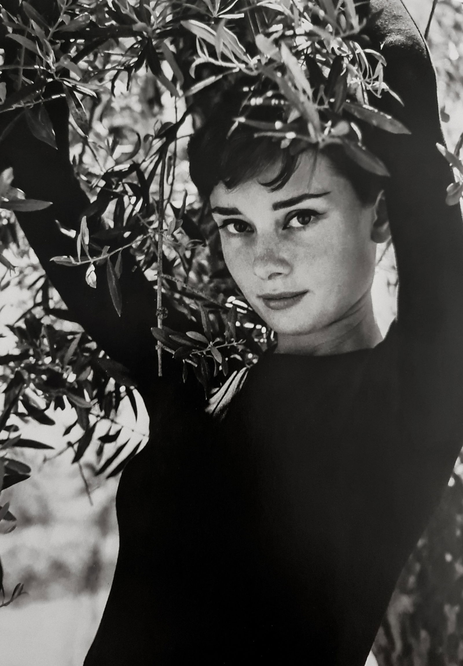 Phillipe Halsman, Audrey Hepburn, 1955 (1 of 1)