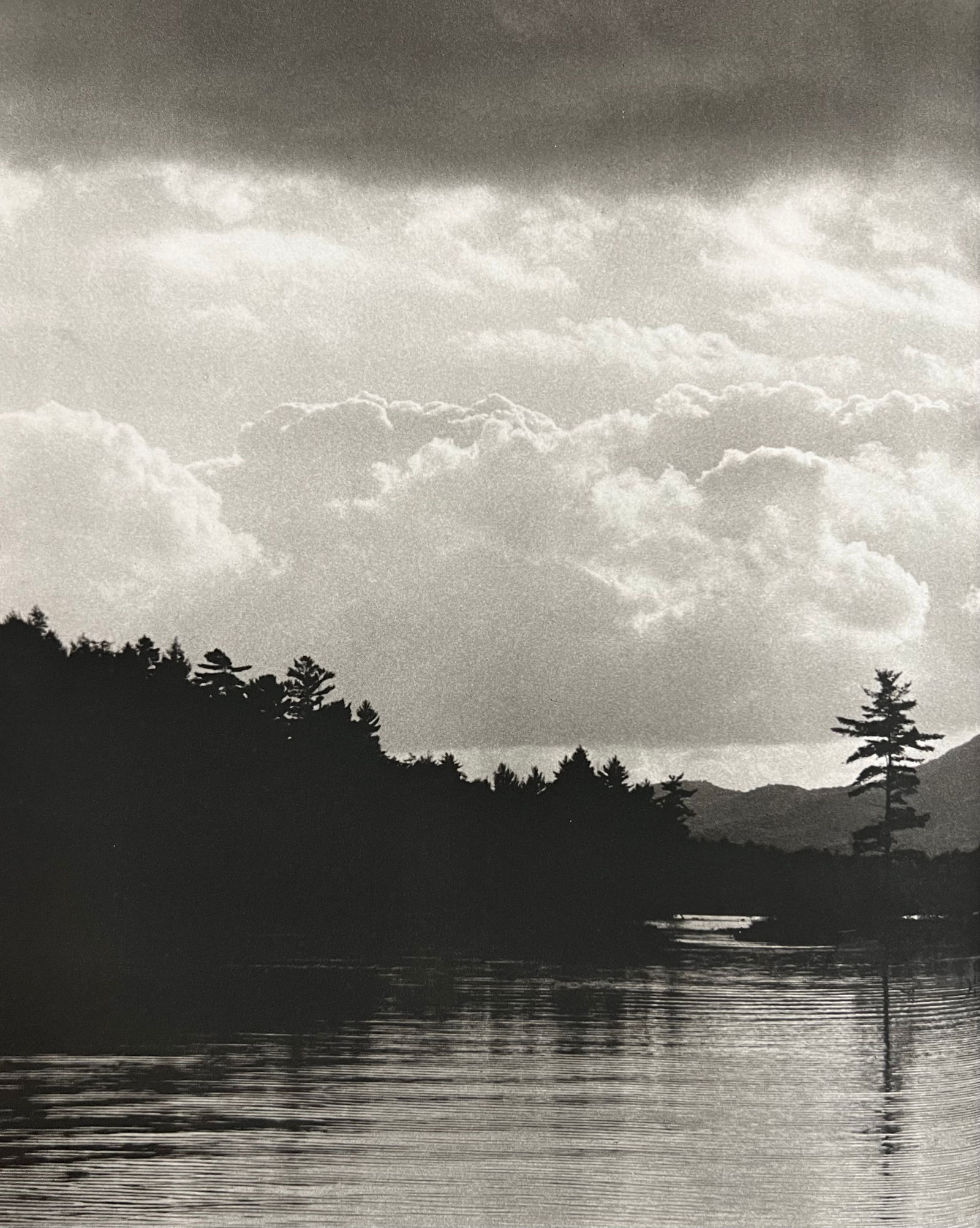 Bruce Weber, Natural shot of lake and trees: Photographer: Bruce Weber (American, b. 1946) - internationally renowned American fashion photographer best known for his racy, erotically charged imagery. Weber has shot the ad campaigns of Calvin Kl