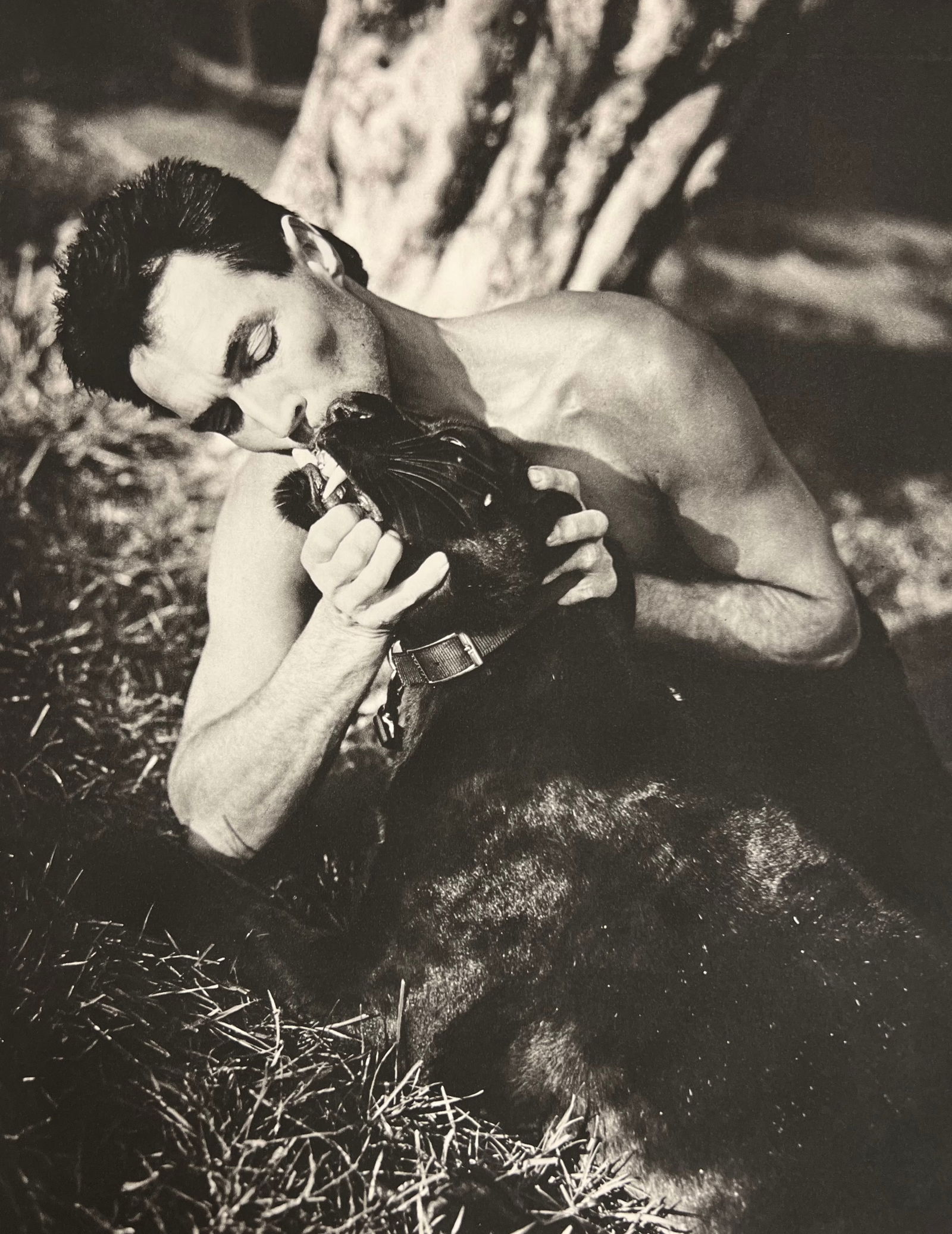 Bruce Weber, Man with black panther, 1988: Photographer: Bruce Weber (American, b. 1946) - internationally renowned American fashion photographer best known for his racy, erotically charged imagery. Weber has shot the ad campaigns of Calvin Kl