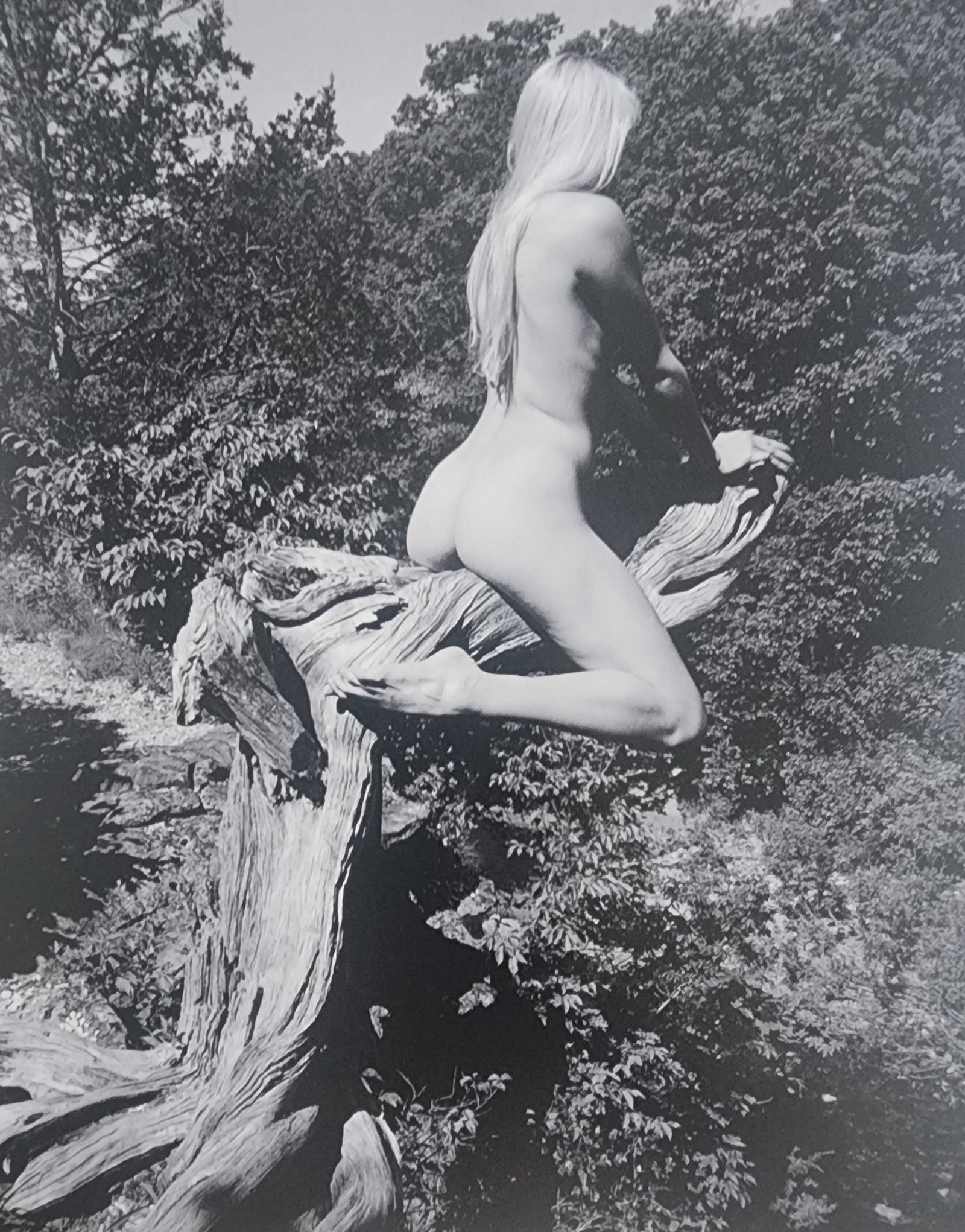 Blondes have more fun by Michelle Olley, 2002: Artist/Photographer: Michelle Olley Title/Subject: Blondes have more fun Type Of Print: Authentic Sheet Fed Photogravure/Heliogravure. Date Of Print: 2002 Paper: Medium weight, satin/matte finish. Pri