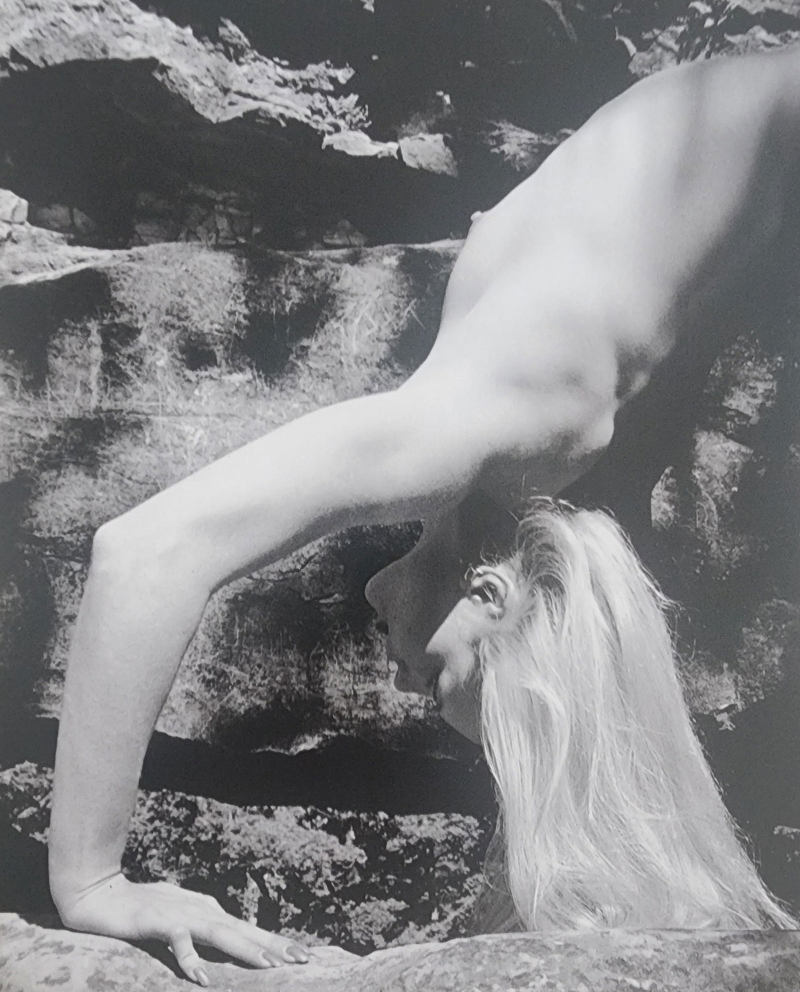 Blondes have more fun by Michelle Olley, 2002: Artist/Photographer: Michelle Olley Title/Subject: Blondes have more fun Type Of Print: Authentic Sheet Fed Photogravure/Heliogravure. Date Of Print: 2002 Paper: Medium weight, satin/matte finish. Pri