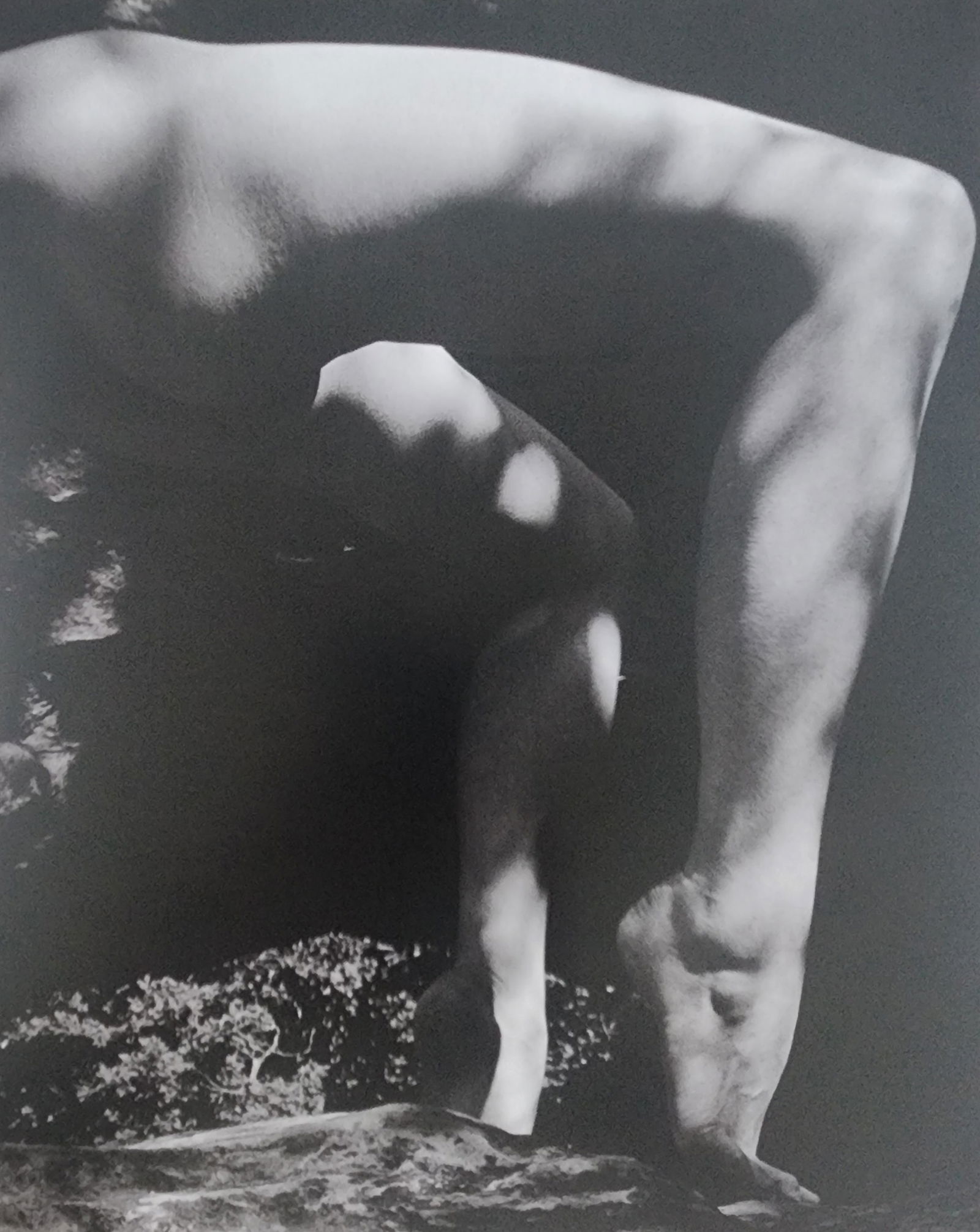 Blondes have more fun by Michelle Olley, 2002: Artist/Photographer: Michelle Olley Title/Subject: Blondes have more fun Type Of Print: Authentic Sheet Fed Photogravure/Heliogravure. Date Of Print: 2002 Paper: Medium weight, satin/matte finish. Pri