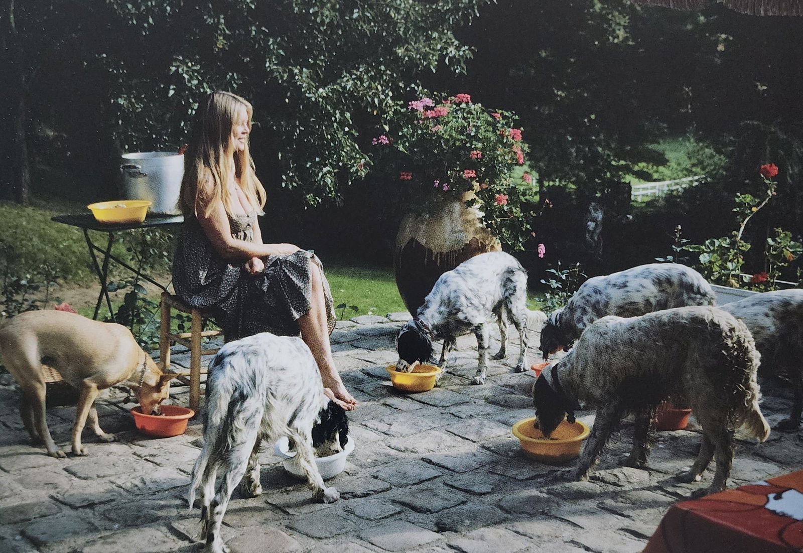 Brigitte Bardot, Beautiful Forever, 2014: Model: Brigitte Anne-Marie Bardot, born September 28, 1934, is a former French actress, model, singer, and animal rights activist. A major sex symbol of the 1950s and 1960s, she was known for playing