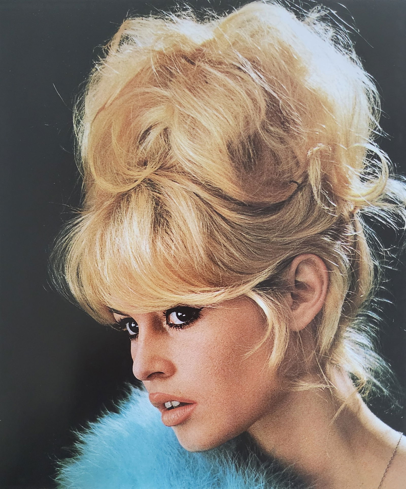Brigitte Bardot, Beautiful Forever, 2014: Model: Brigitte Anne-Marie Bardot, born September 28, 1934, is a former French actress, model, singer, and animal rights activist. A major sex symbol of the 1950s and 1960s, she was known for playing
