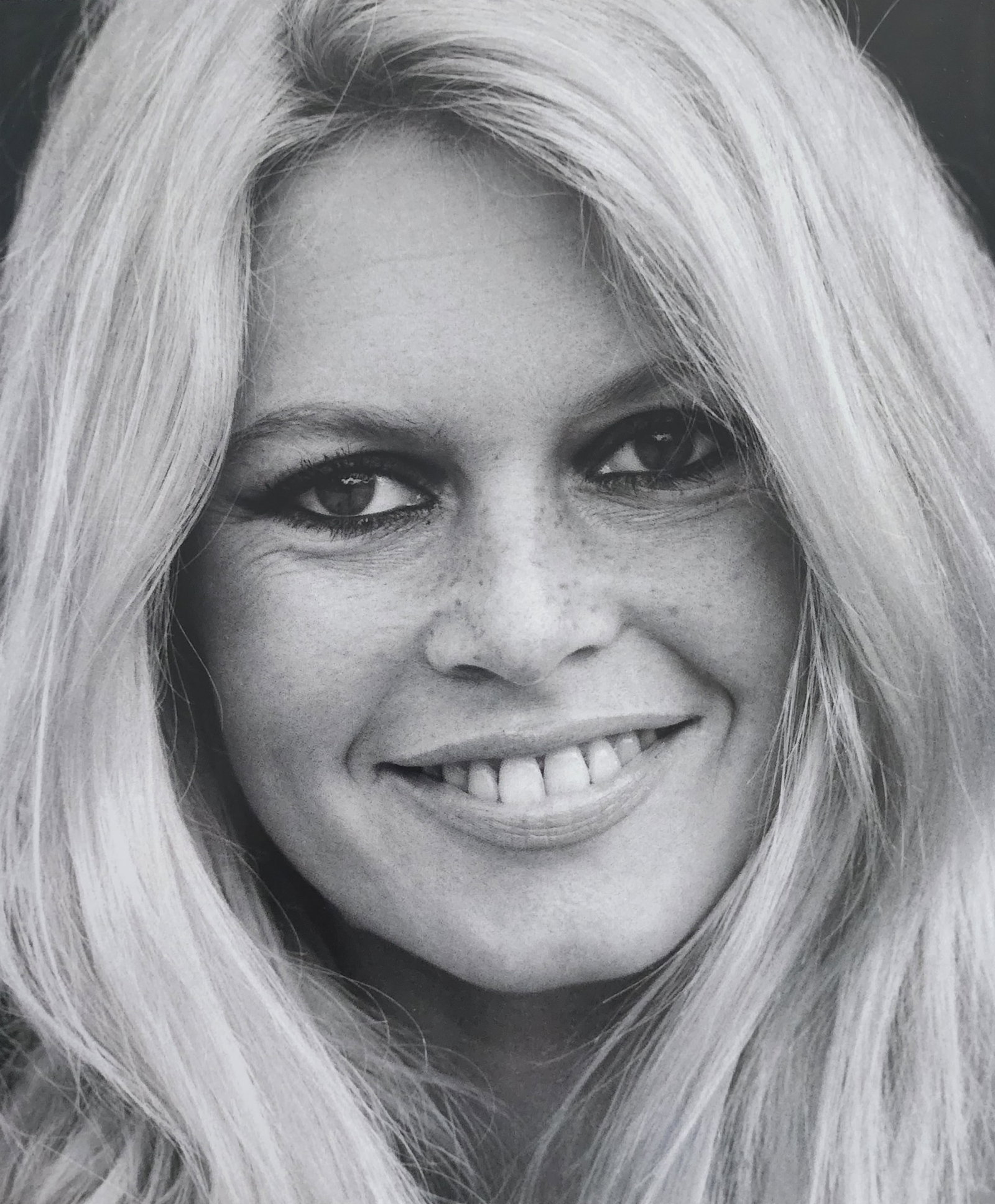 Brigitte Bardot, Beautiful Forever, 2014 (1 of 1)
