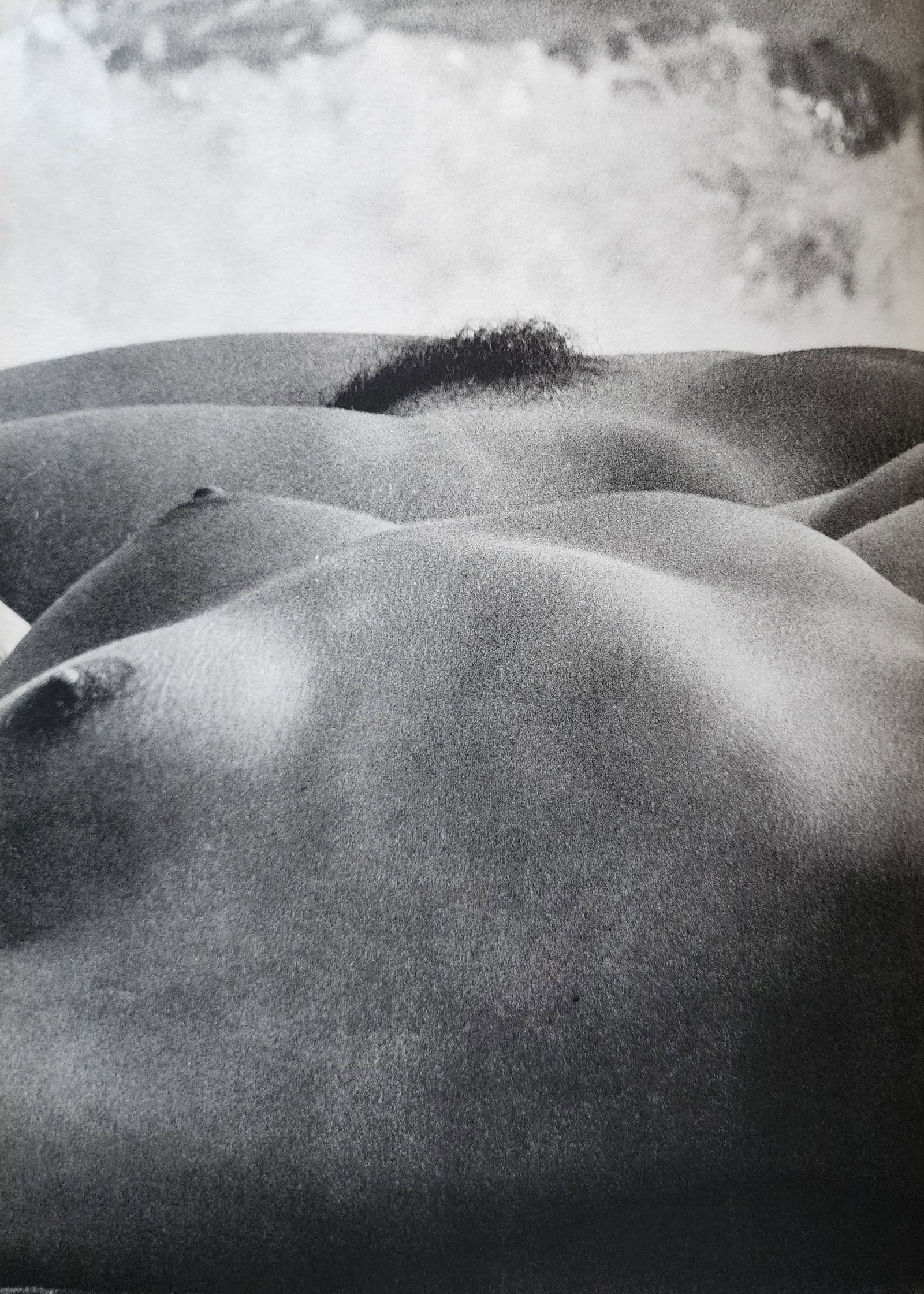 Lucien Clergue, On the beach, 1973: Photographer: Lucien Clergue (France, 1934 - 2014) - renowned French photographer with a diverse body of work, he is perhaps best known for his dynamic female nude studies in and around water which of