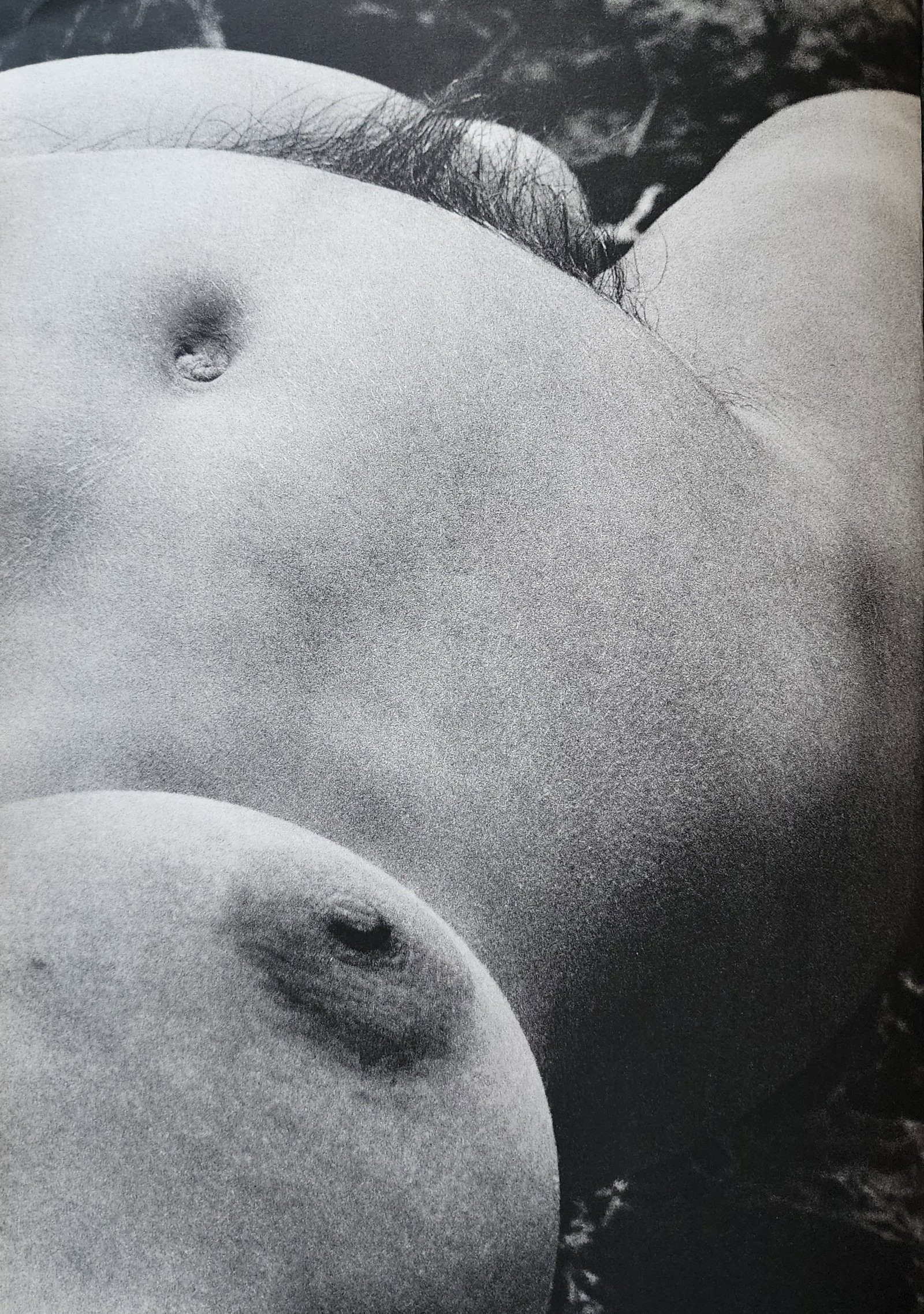 Lucien Clergue, On the beach, 1973: Photographer: Lucien Clergue (France, 1934 - 2014) - renowned French photographer with a diverse body of work, he is perhaps best known for his dynamic female nude studies in and around water which of