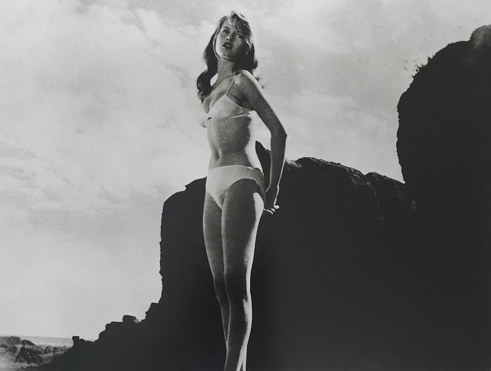 Brigitte Bardot, Beautiful Forever, 2014 (1 of 1)