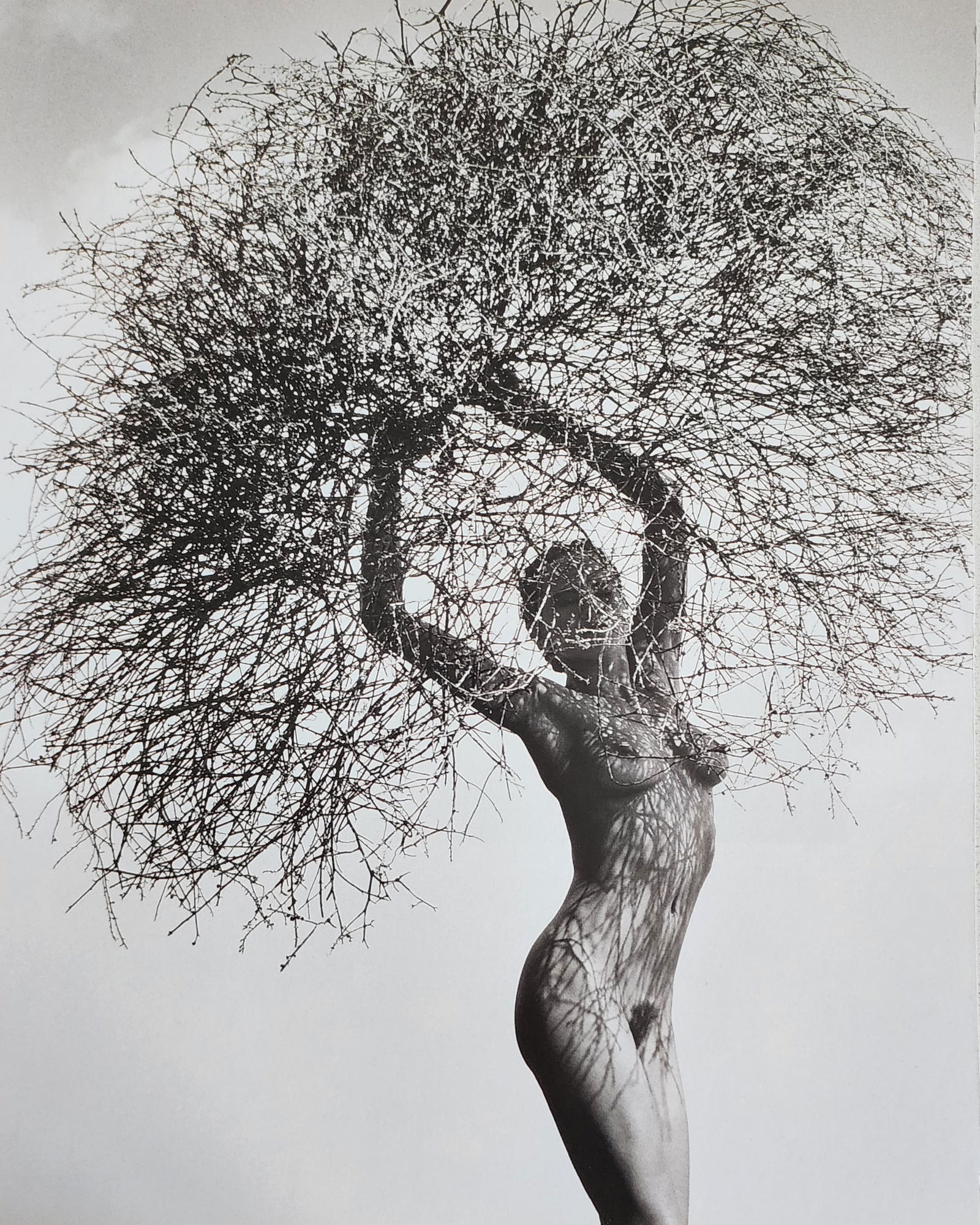 Erotique Masterpiece, 1998: Artist/Photographer: Man Ray, Marconi, Agelou, Y. Park, E. Weston, G. Riebicke, R. Koppitz, Manasse, H.P. Horst, N. Parkinson, Bill Brandt..... Title/Subject: Erotique Masterpiece Type Of Print: Authe